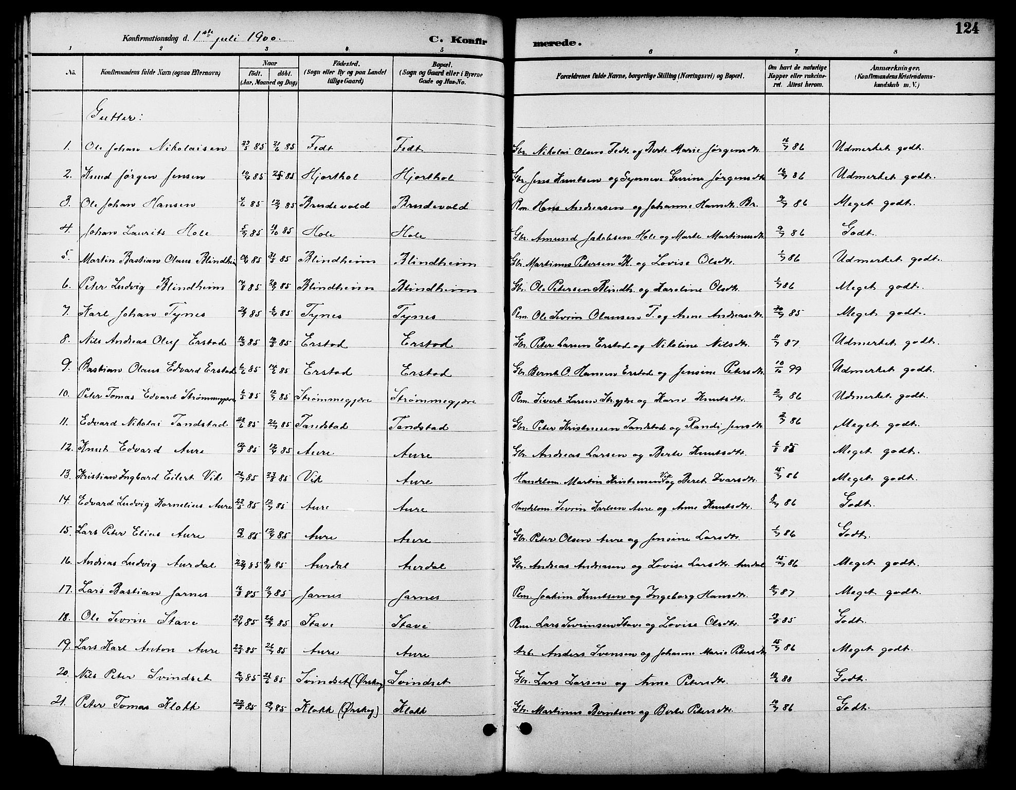Ministerialprotokoller, klokkerbøker og fødselsregistre - Møre og Romsdal, SAT/A-1454/523/L0340: Parish register (copy) no. 523C03, 1892-1902, p. 124
