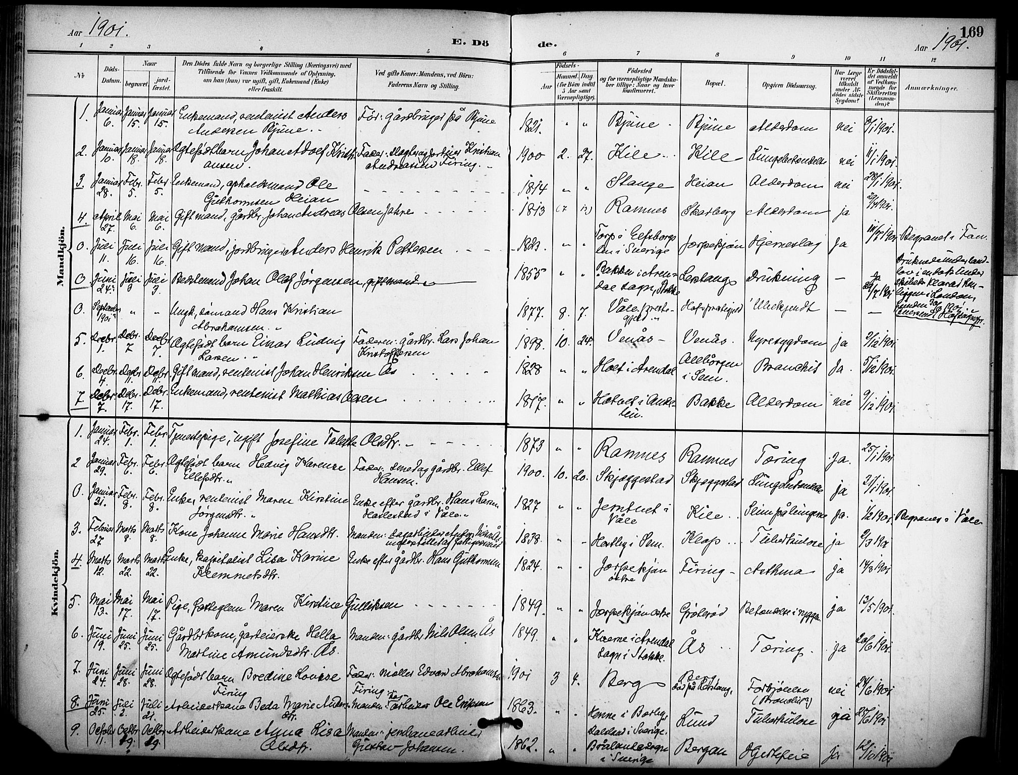 Ramnes kirkebøker, AV/SAKO-A-314/F/Fa/L0008: Parish register (official) no. I 8, 1896-1913, p. 169