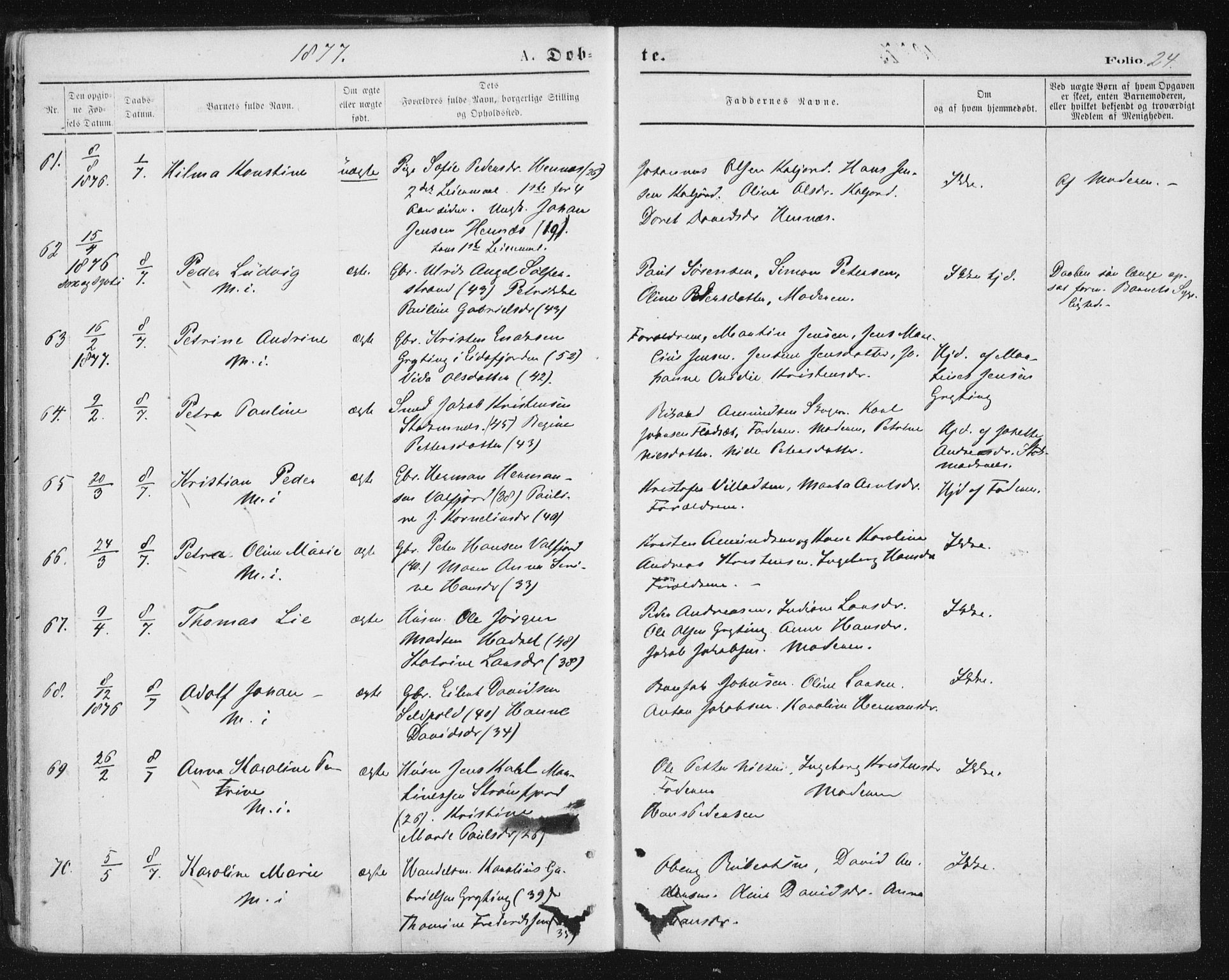 Ministerialprotokoller, klokkerbøker og fødselsregistre - Nordland, AV/SAT-A-1459/888/L1243: Parish register (official) no. 888A09, 1876-1879, p. 24