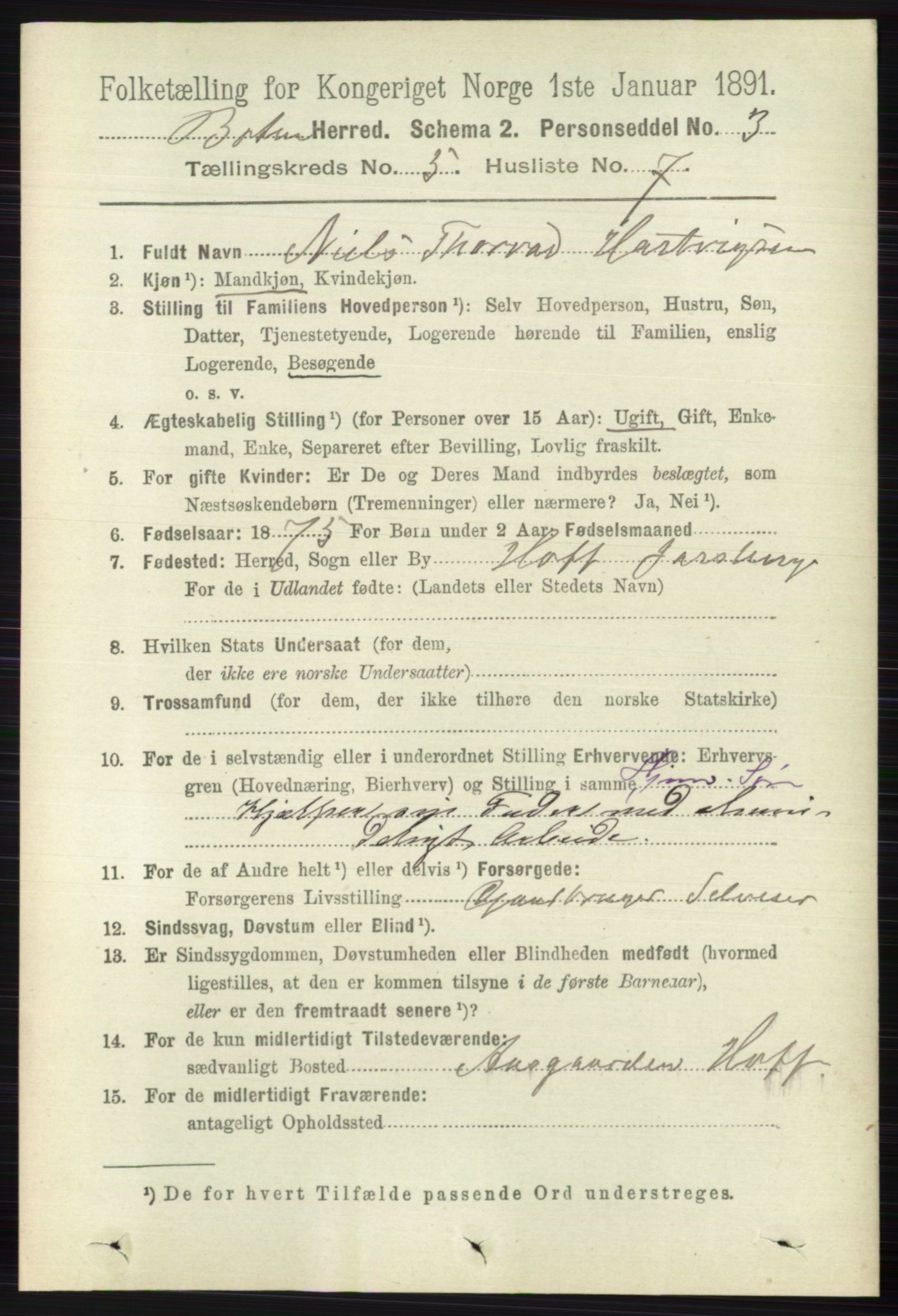 RA, 1891 census for 0715 Botne, 1891, p. 1994