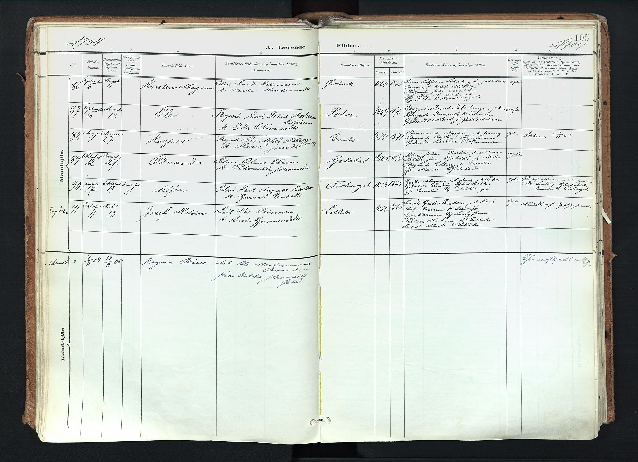 Trysil prestekontor, AV/SAH-PREST-046/H/Ha/Haa/L0012: Parish register (official) no. 12, 1898-1917, p. 105