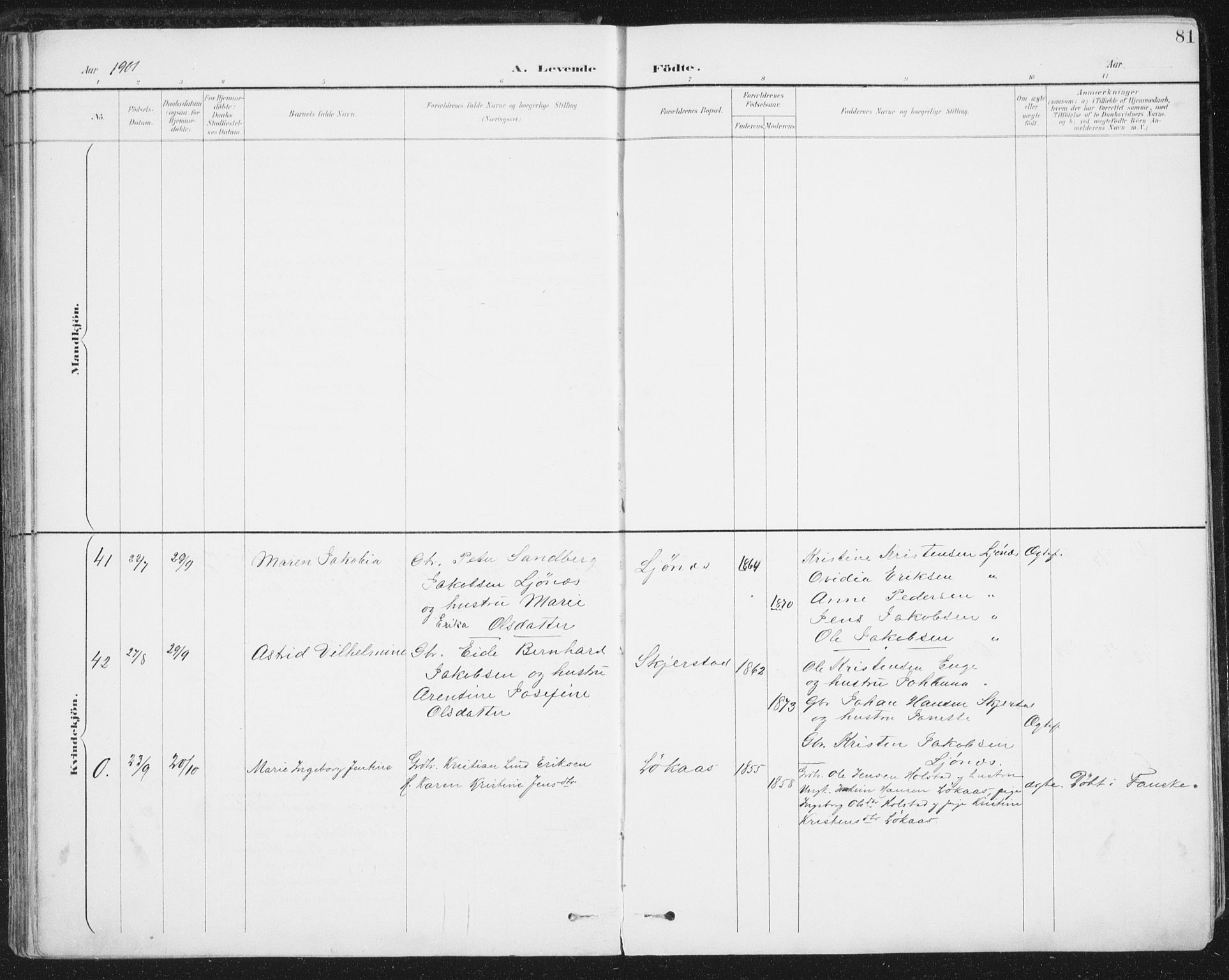 Ministerialprotokoller, klokkerbøker og fødselsregistre - Nordland, AV/SAT-A-1459/852/L0741: Parish register (official) no. 852A11, 1894-1917, p. 81