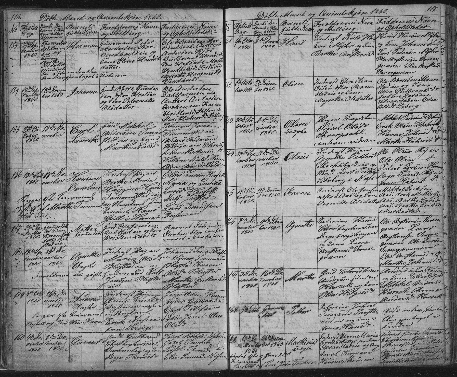 Vang prestekontor, Hedmark, SAH/PREST-008/H/Ha/Hab/L0010A: Parish register (copy) no. 10a, 1854-1896, p. 116-117
