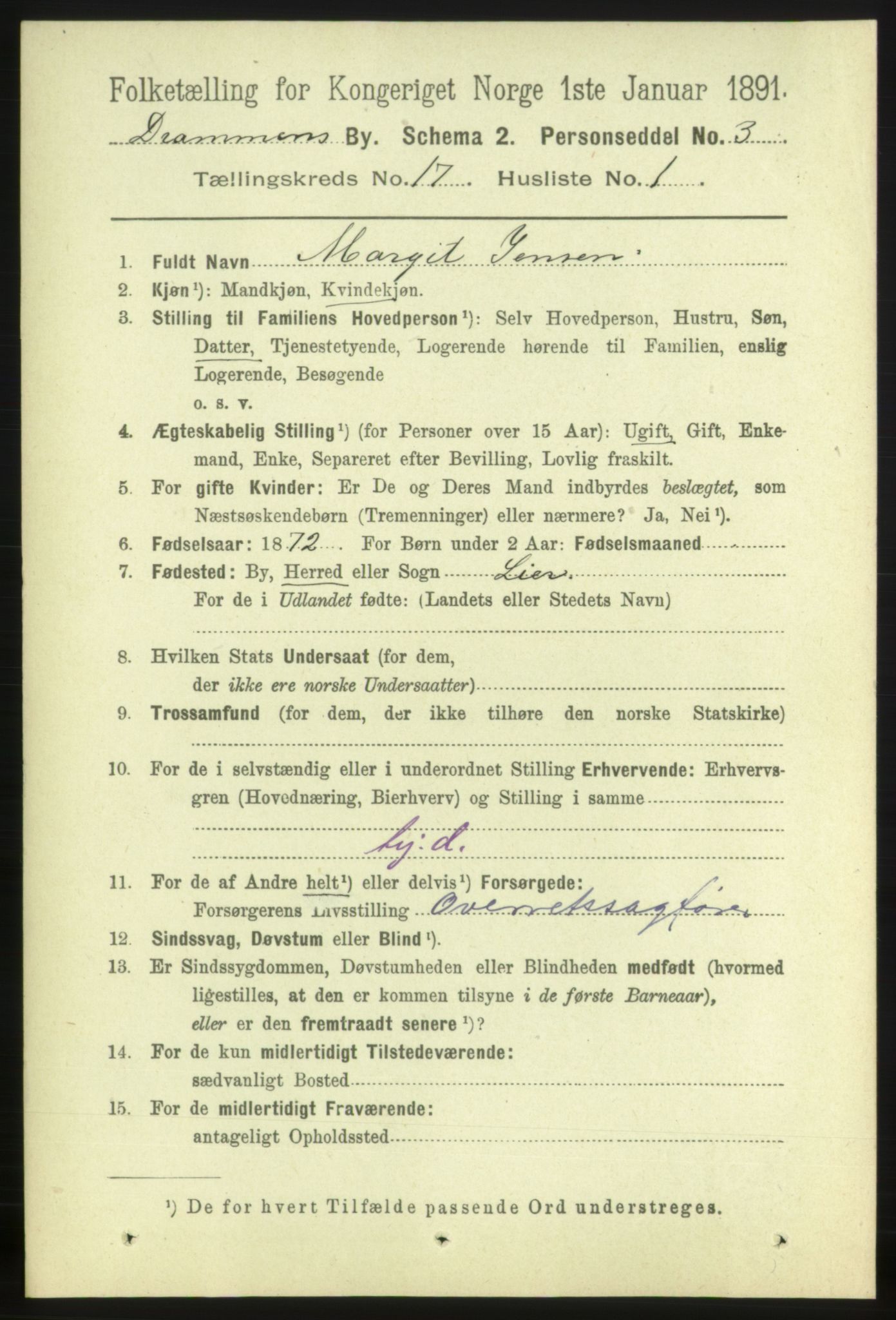 RA, 1891 census for 0602 Drammen, 1891, p. 11278