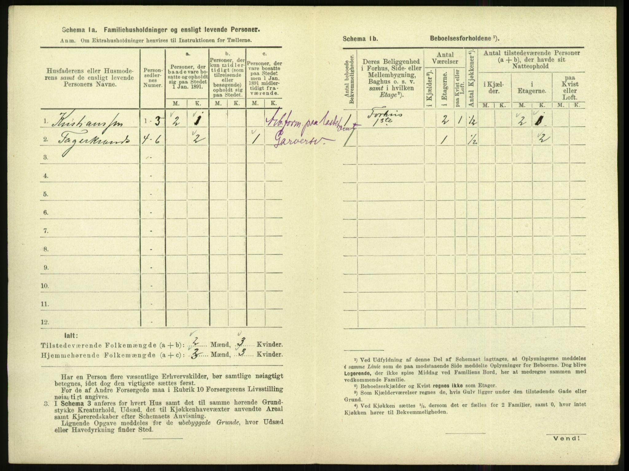 RA, 1891 census for 1002 Mandal, 1891, p. 890