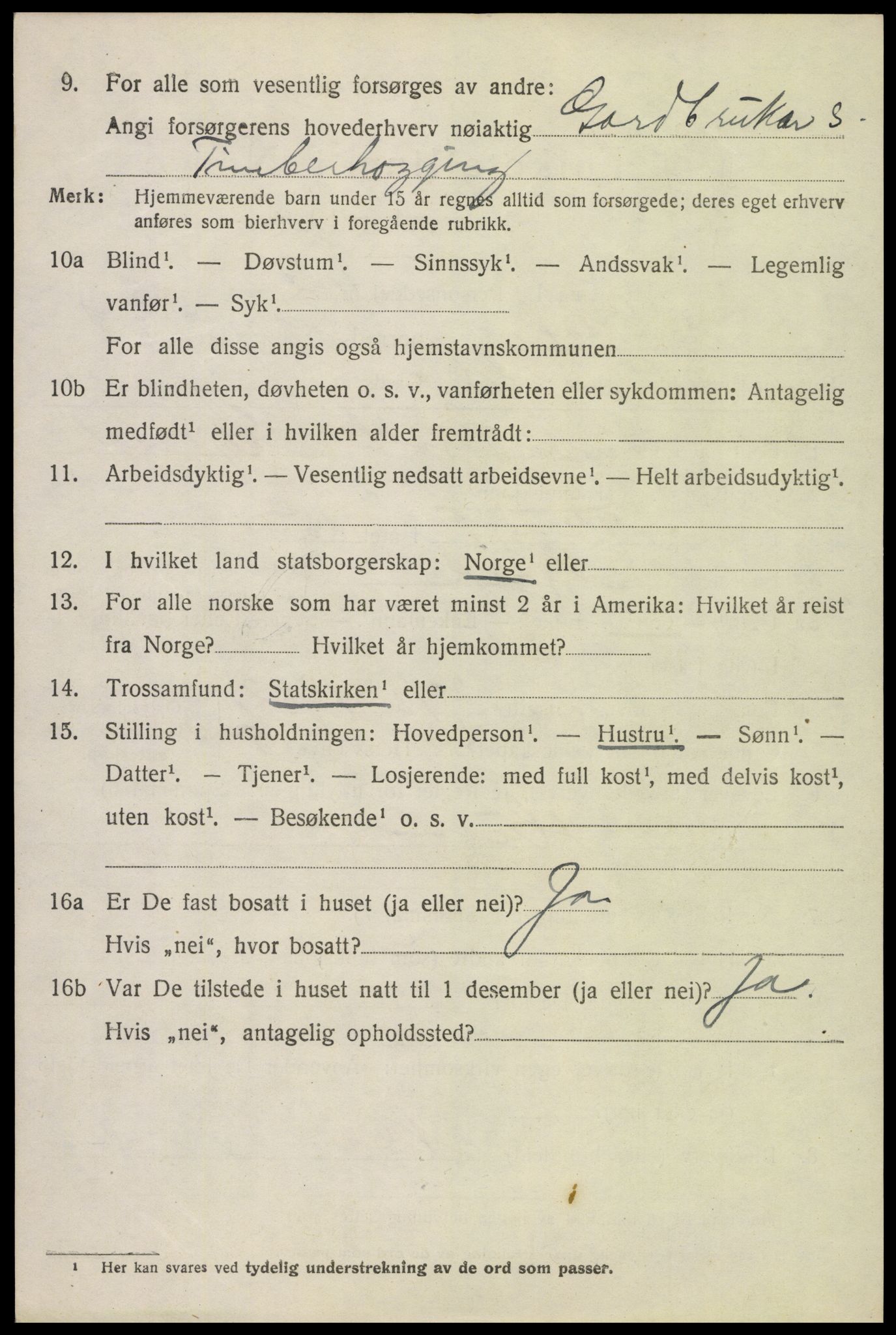 SAH, 1920 census for Skjåk, 1920, p. 4555