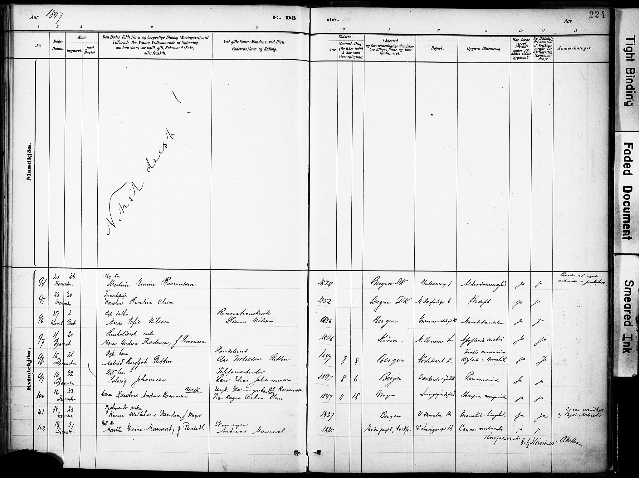 Domkirken sokneprestembete, AV/SAB-A-74801/H/Haa/L0043: Parish register (official) no. E 5, 1882-1904, p. 224