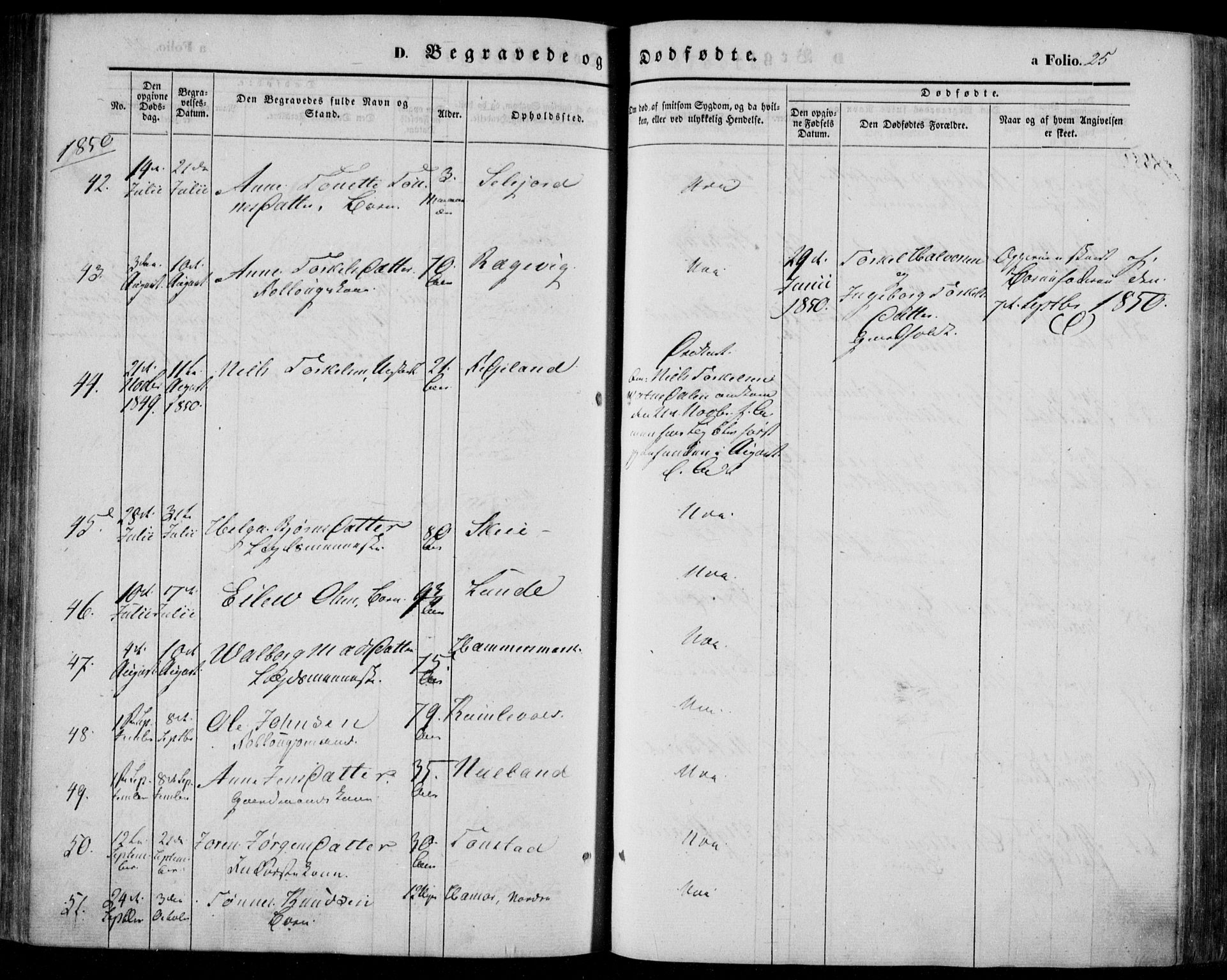 Bakke sokneprestkontor, AV/SAK-1111-0002/F/Fa/Faa/L0005: Parish register (official) no. A 5, 1847-1855, p. 25