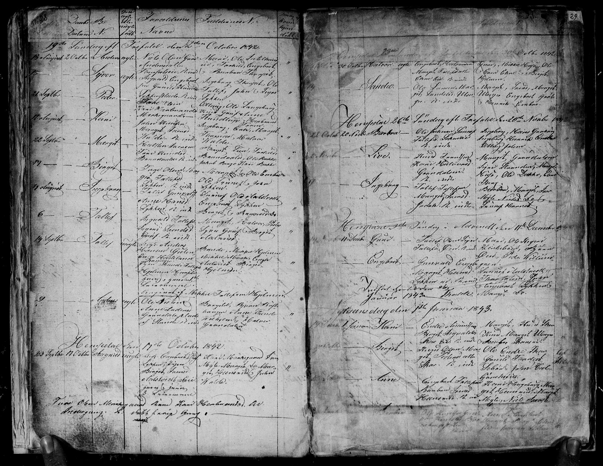 Gol kirkebøker, SAKO/A-226/G/Gb/L0002: Parish register (copy) no. II 2, 1838-1844, p. 28-29