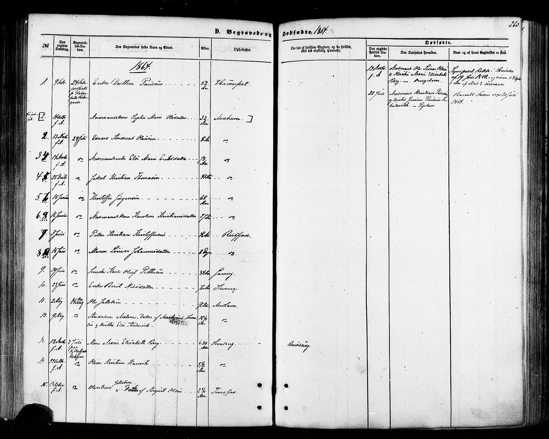 Tana sokneprestkontor, AV/SATØ-S-1334/H/Ha/L0002kirke: Parish register (official) no. 2 /2, 1862-1877, p. 260