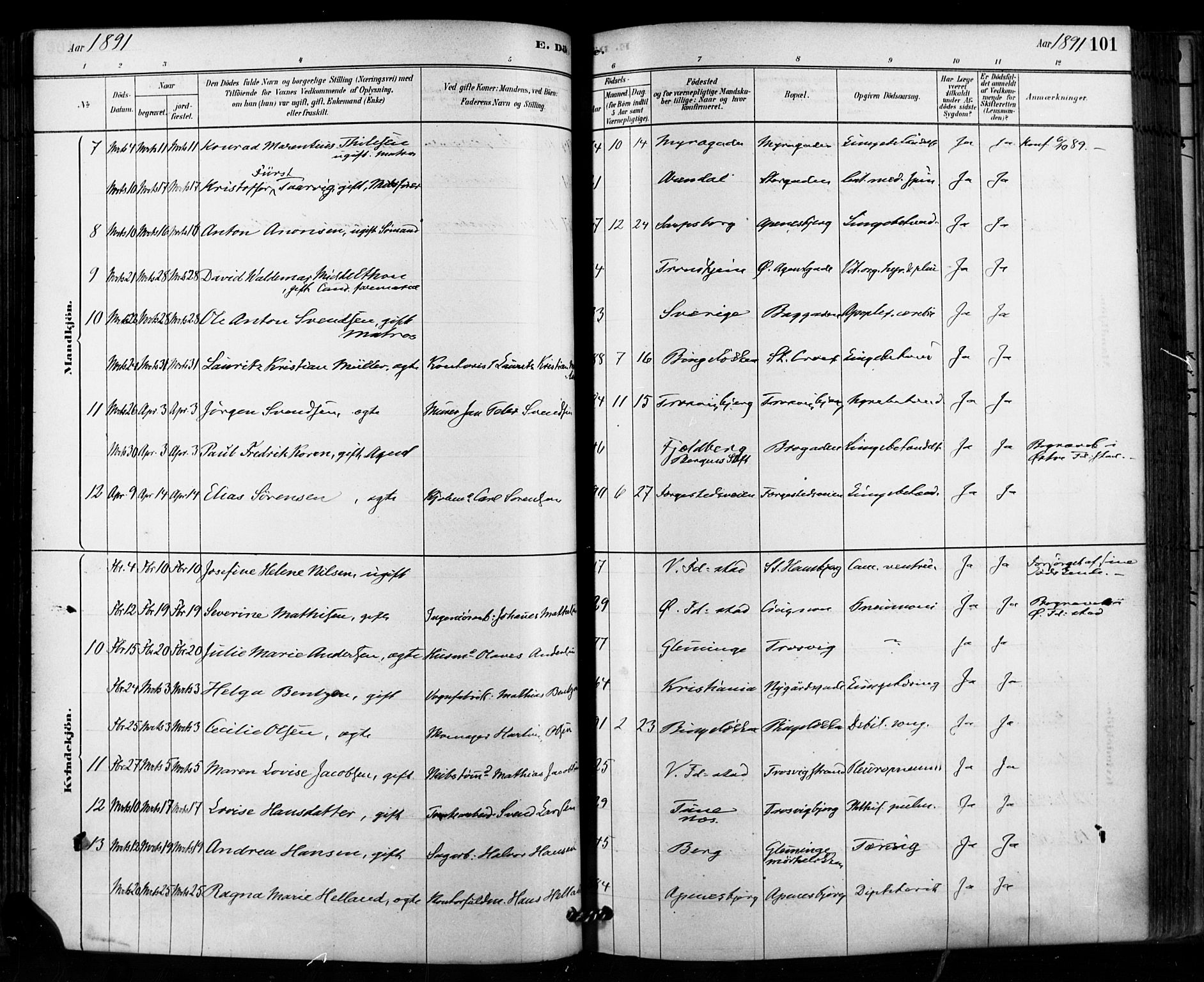 Fredrikstad domkirkes prestekontor Kirkebøker, SAO/A-10906/F/Fa/L0003: Parish register (official) no. 3, 1878-1904, p. 101