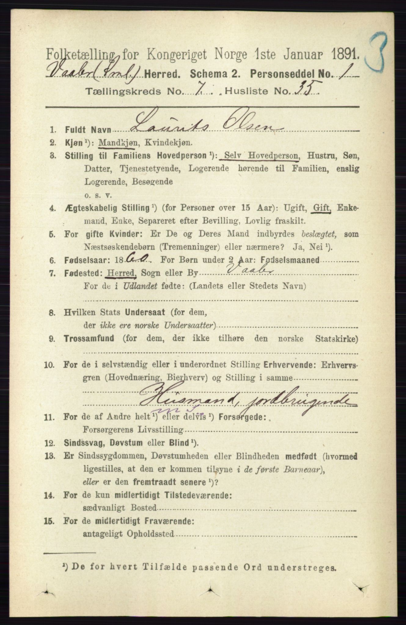 RA, 1891 census for 0137 Våler, 1891, p. 3066