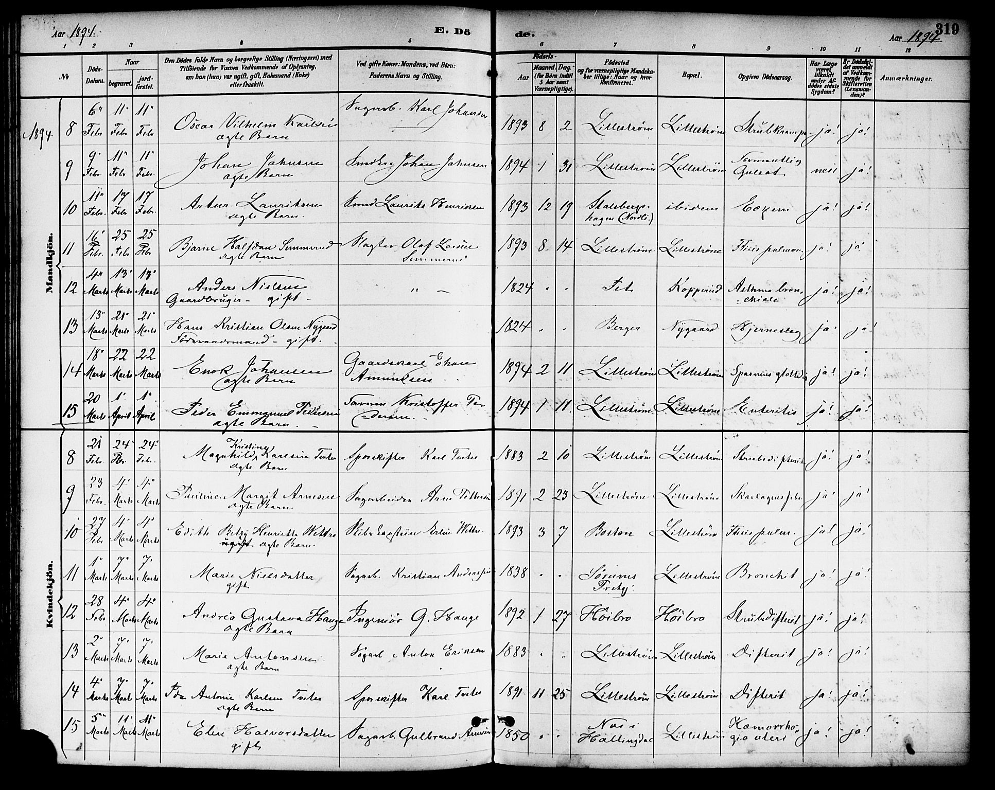 Skedsmo prestekontor Kirkebøker, SAO/A-10033a/F/Fa/L0014: Parish register (official) no. I 14, 1892-1901, p. 319