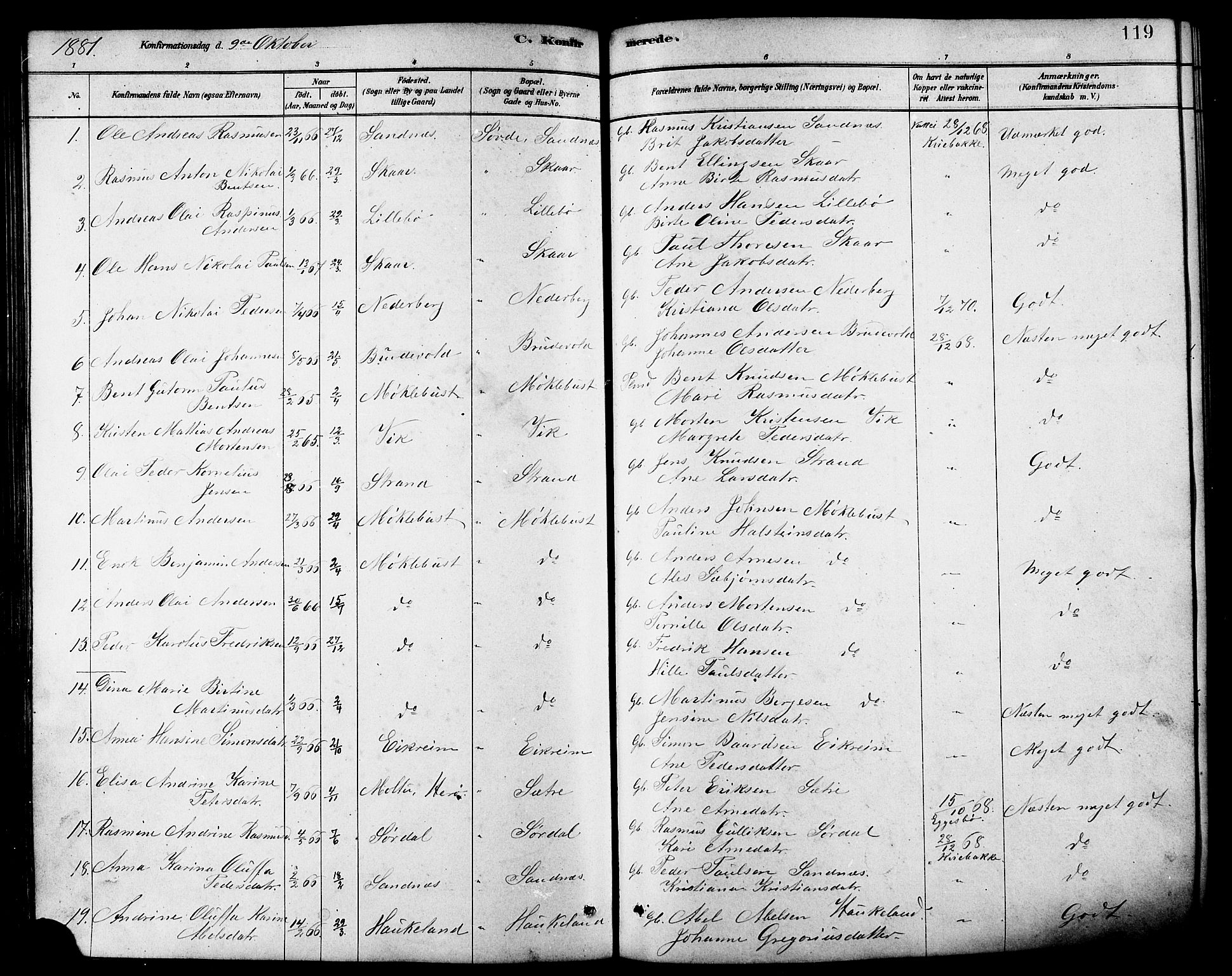 Ministerialprotokoller, klokkerbøker og fødselsregistre - Møre og Romsdal, AV/SAT-A-1454/502/L0027: Parish register (copy) no. 502C01, 1878-1908, p. 119