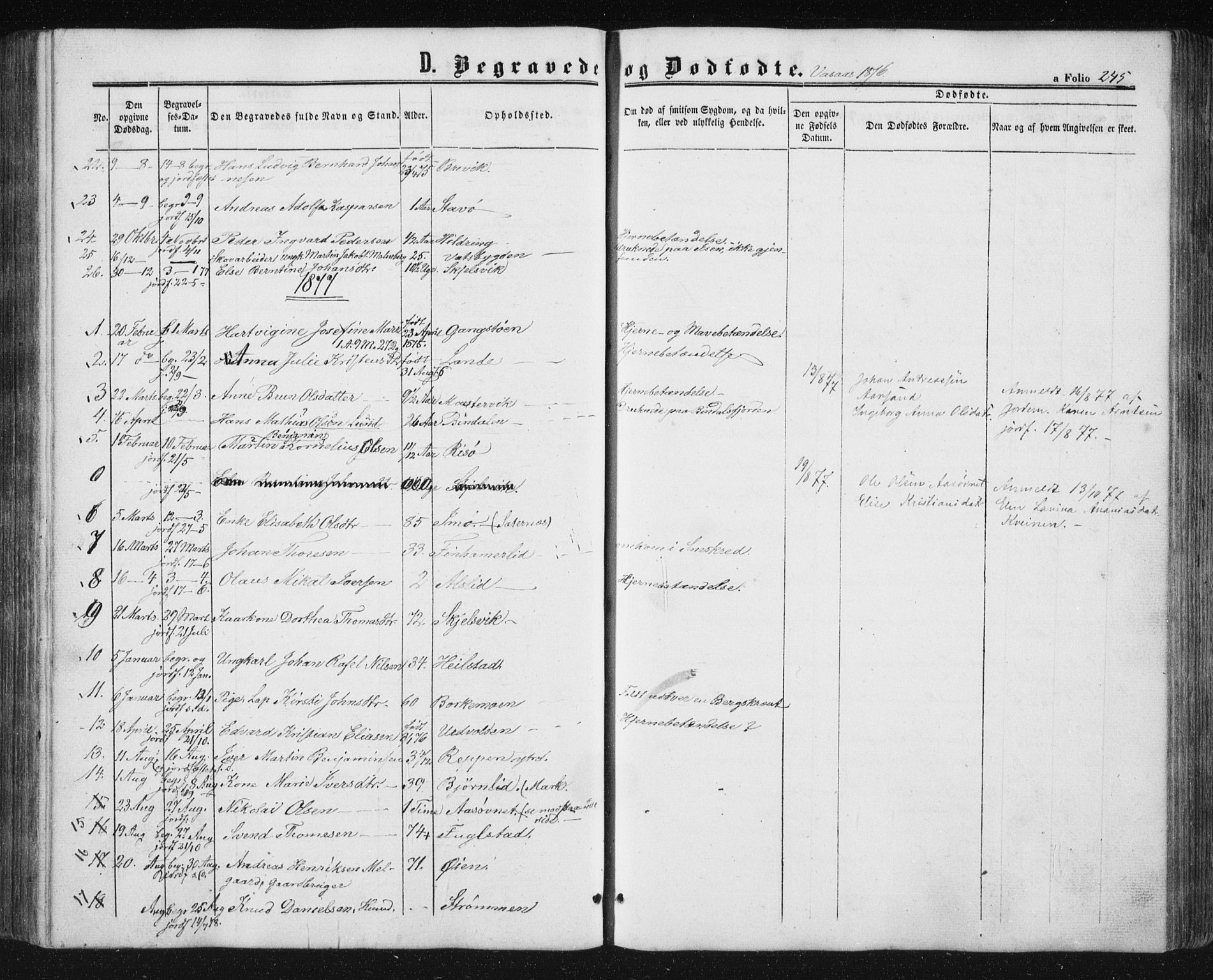 Ministerialprotokoller, klokkerbøker og fødselsregistre - Nordland, AV/SAT-A-1459/810/L0158: Parish register (copy) no. 810C02 /1, 1863-1883, p. 245