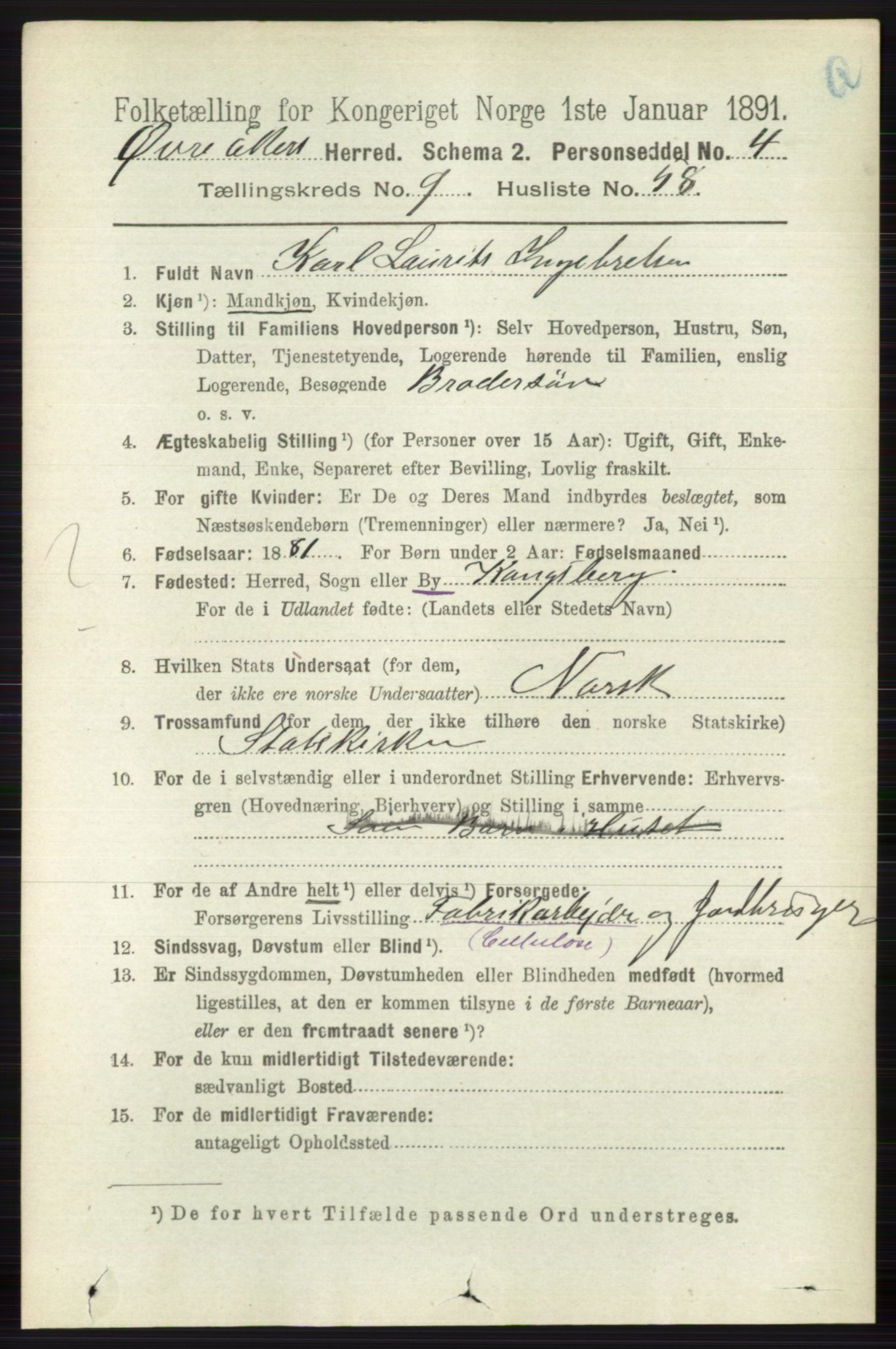 RA, 1891 census for 0624 Øvre Eiker, 1891, p. 3951