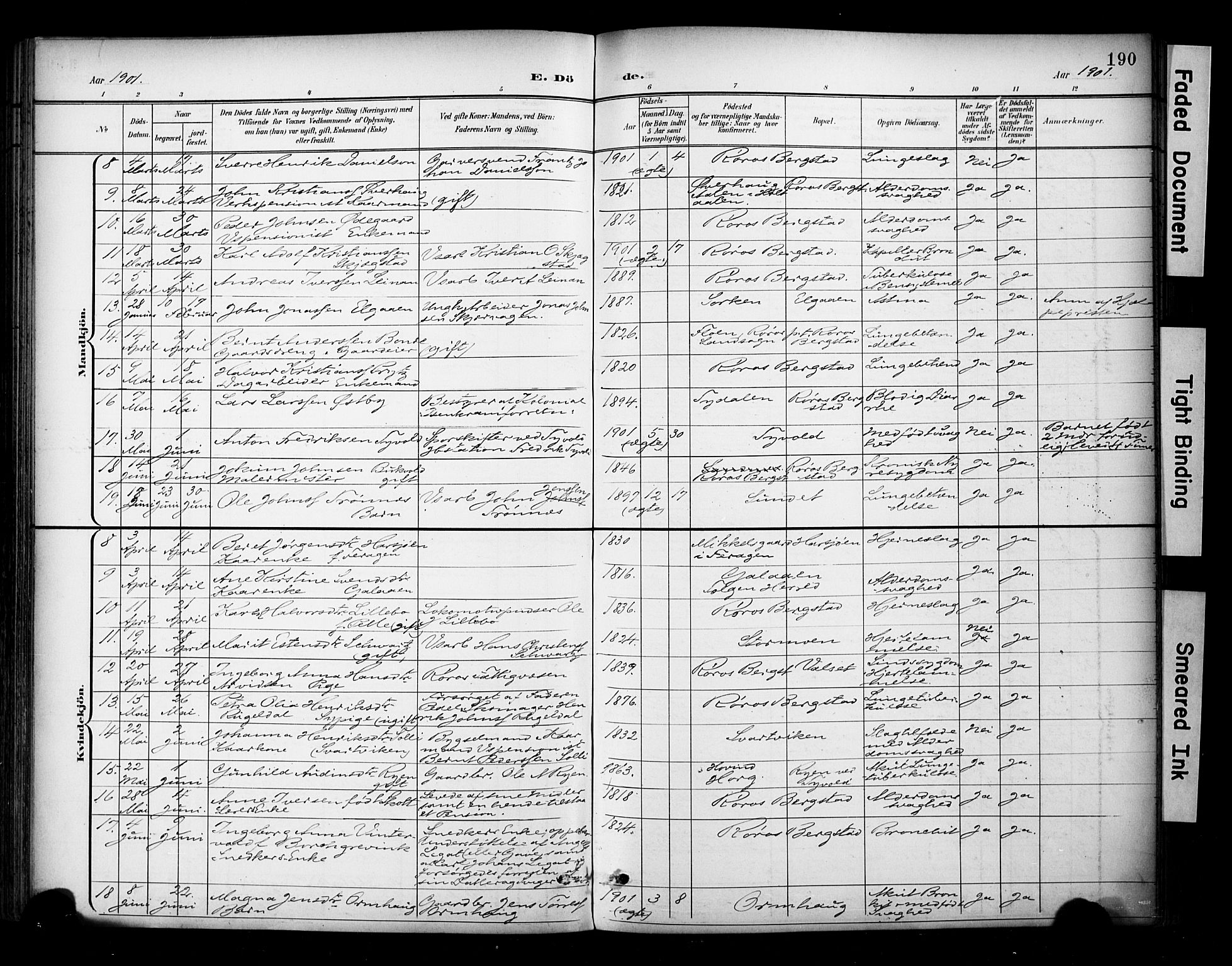 Ministerialprotokoller, klokkerbøker og fødselsregistre - Sør-Trøndelag, SAT/A-1456/681/L0936: Parish register (official) no. 681A14, 1899-1908, p. 190