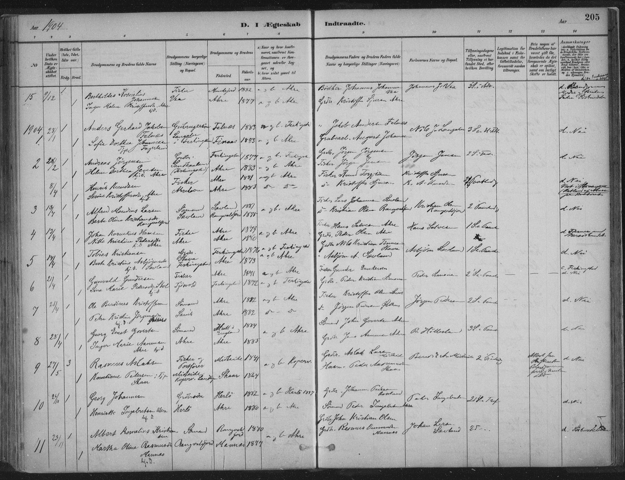 Kopervik sokneprestkontor, SAST/A-101850/H/Ha/Haa/L0004: Parish register (official) no. A 4, 1882-1905, p. 205