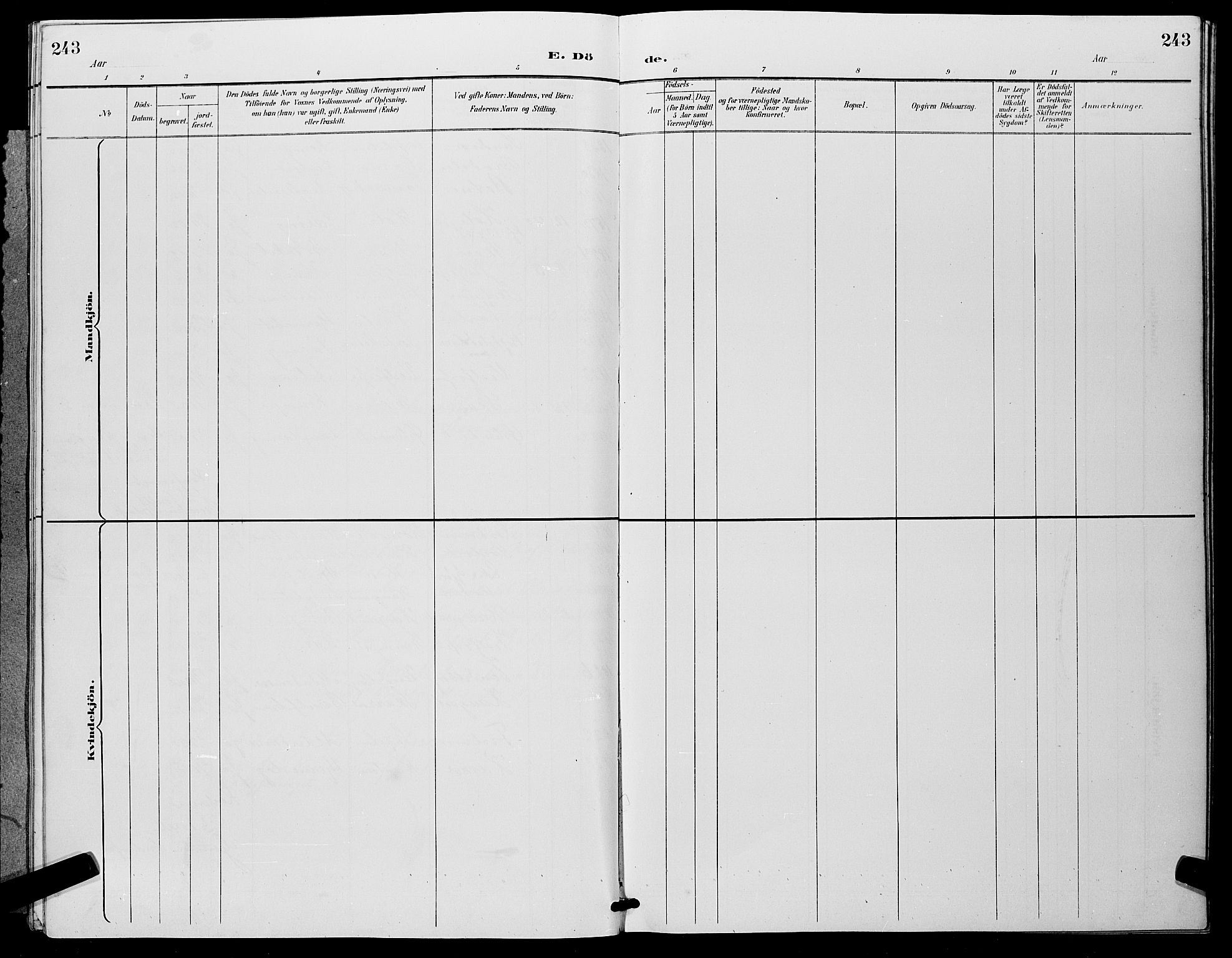 Eiker kirkebøker, AV/SAKO-A-4/G/Ga/L0007: Parish register (copy) no. I 7, 1893-1902, p. 243