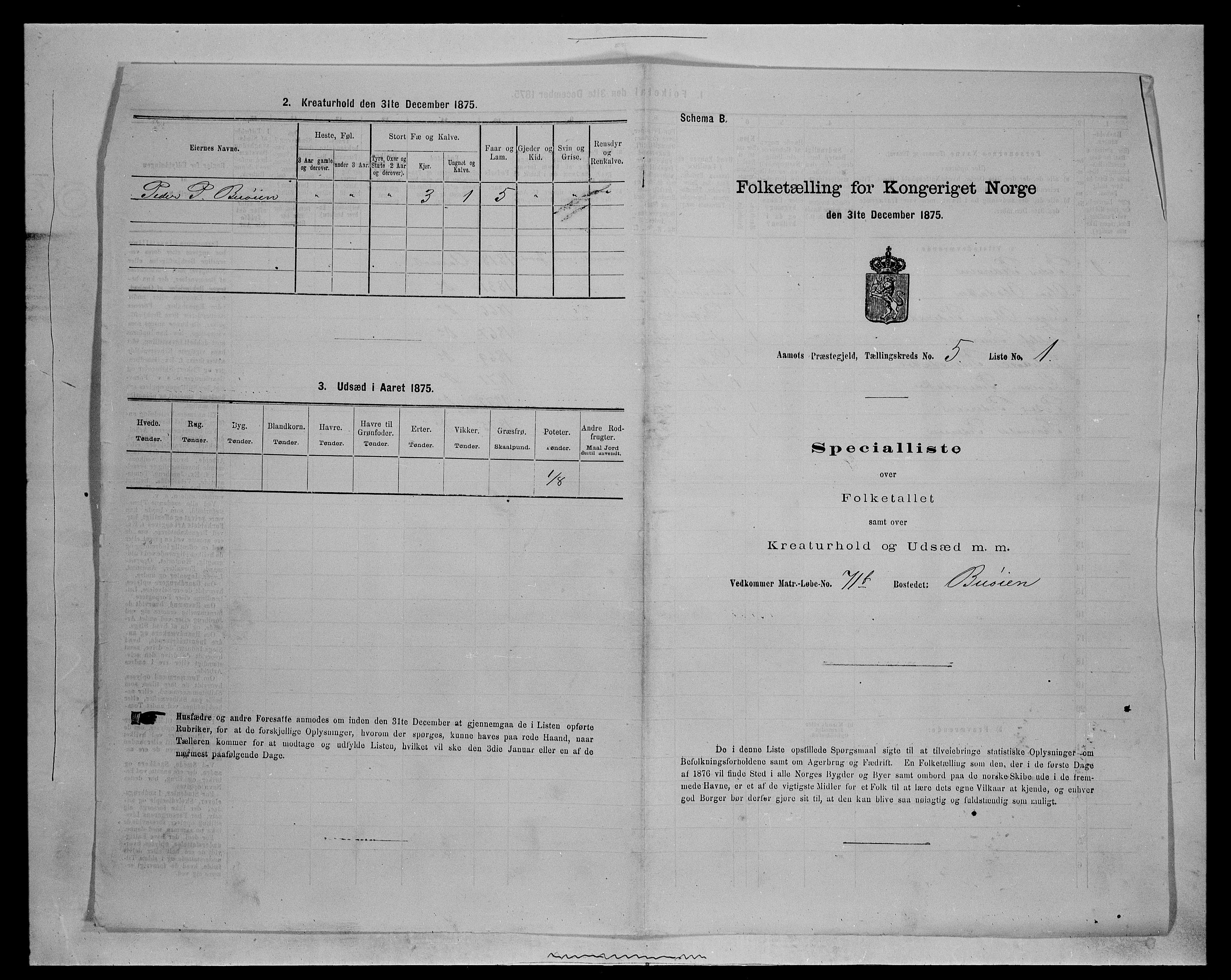 SAH, 1875 census for 0429P Åmot, 1875, p. 731