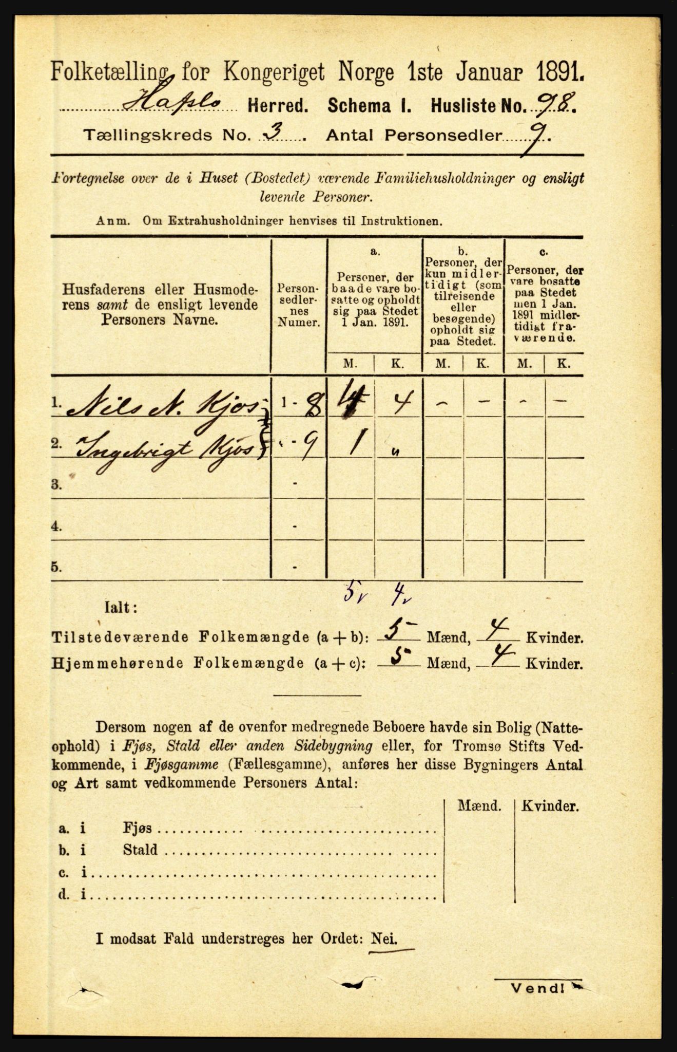 RA, 1891 census for 1425 Hafslo, 1891, p. 978