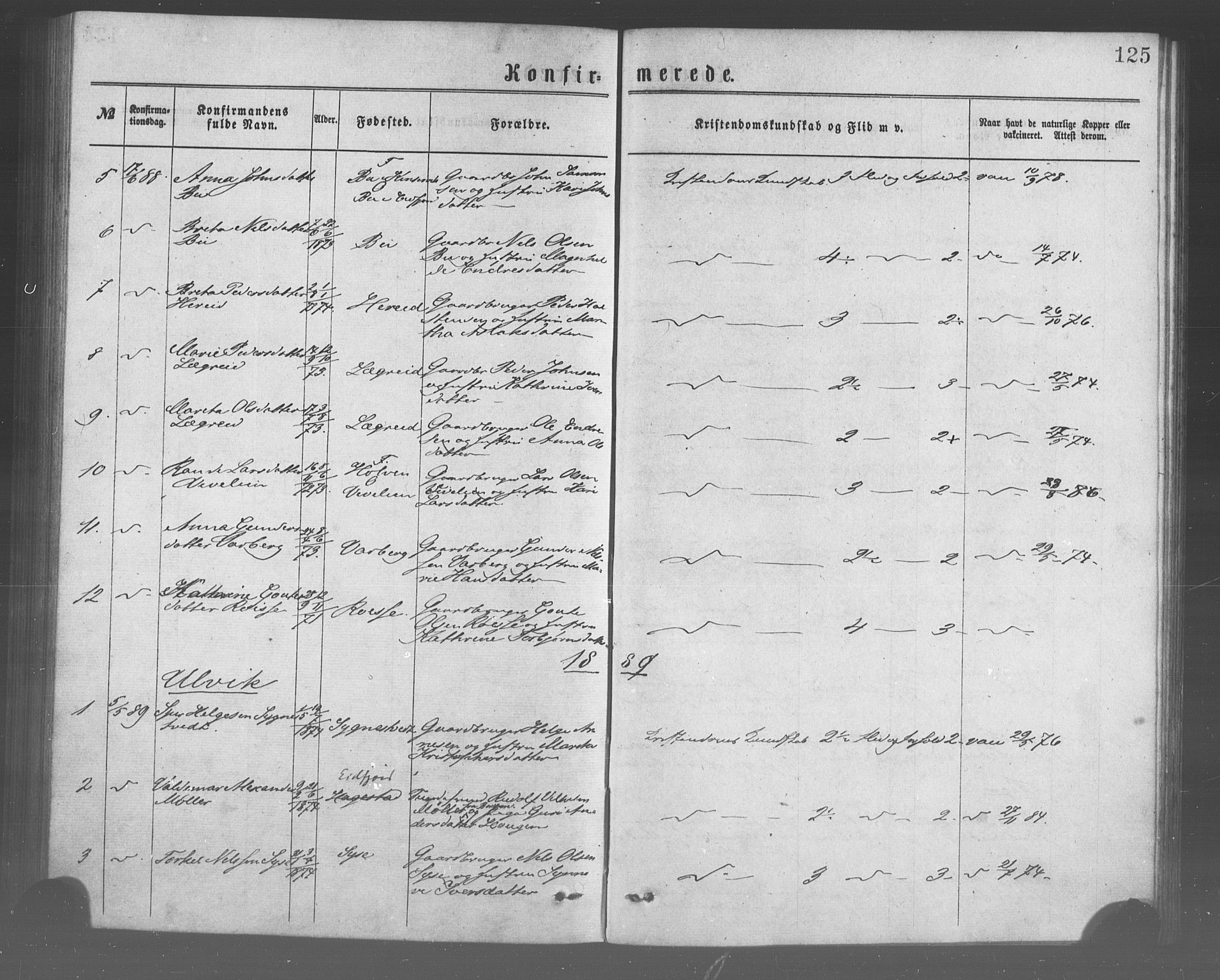 Ulvik sokneprestembete, SAB/A-78801/H/Haa: Parish register (official) no. A 17, 1873-1891, p. 125