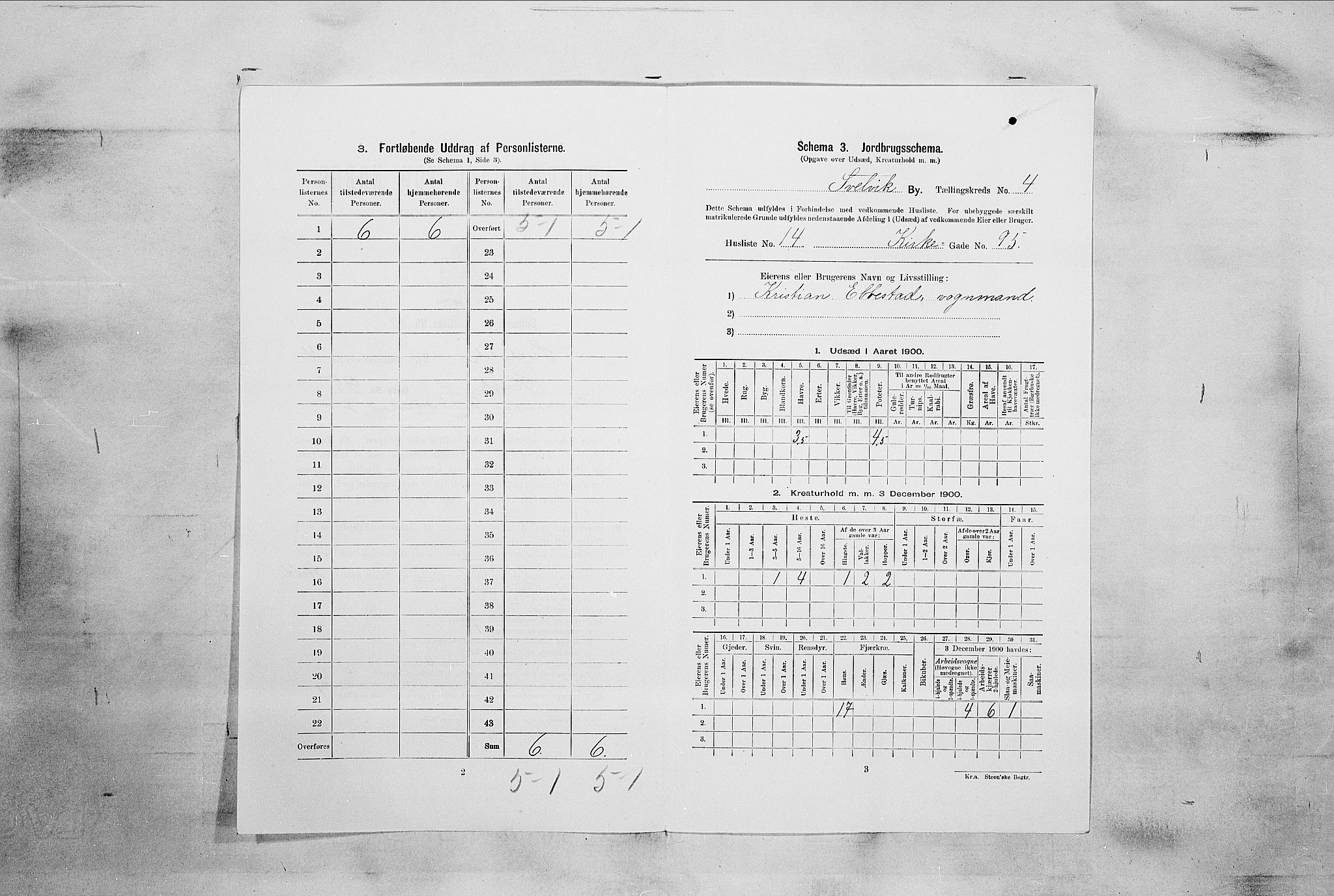 RA, 1900 census for Svelvik, 1900, p. 573