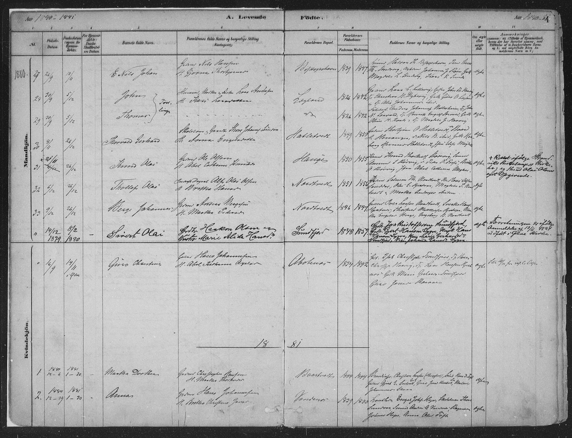 Fusa sokneprestembete, AV/SAB-A-75401/H/Haa: Parish register (official) no. D 1, 1880-1938, p. 4