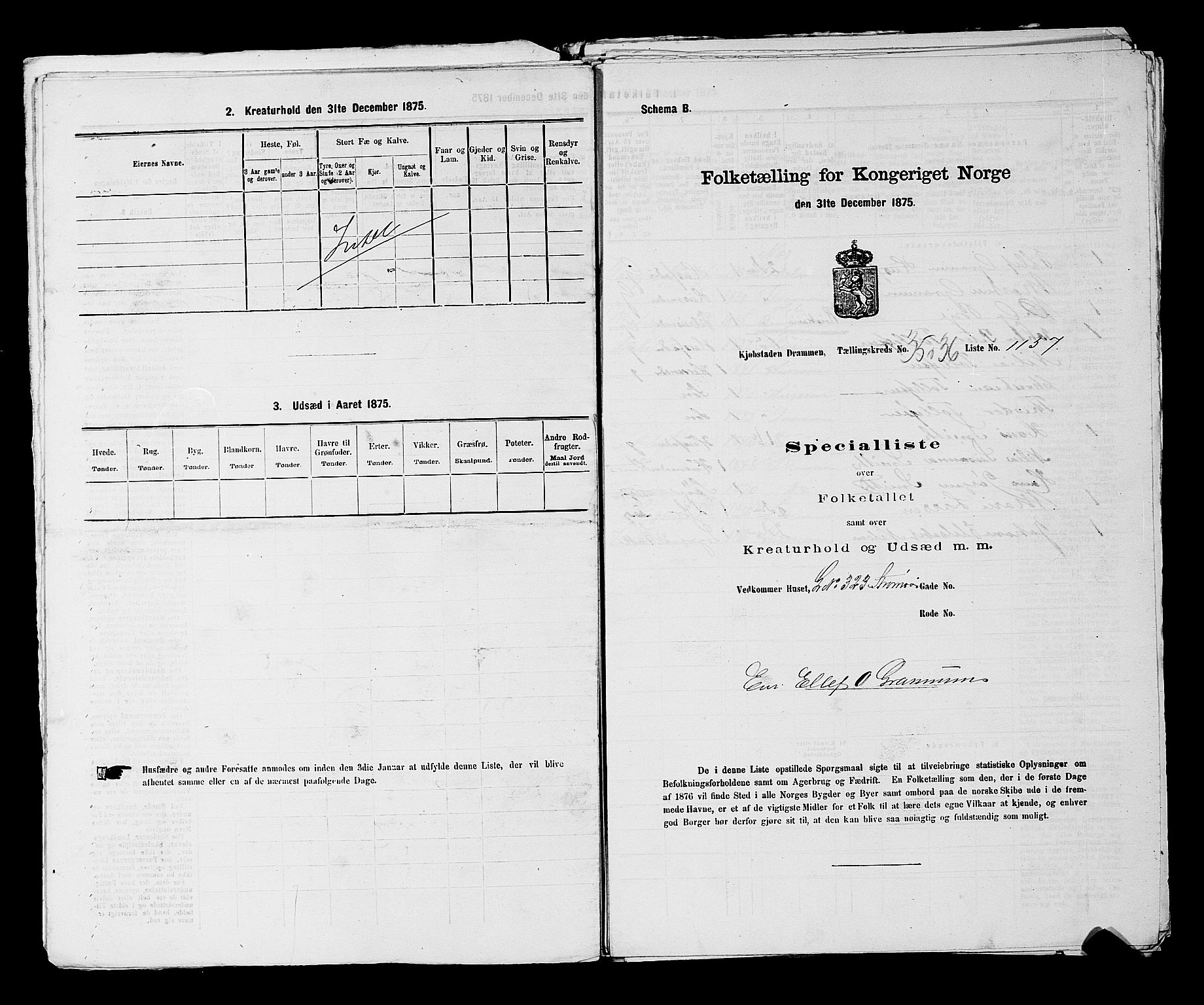 SAKO, 1875 census for 0602 Drammen, 1875, p. 3067