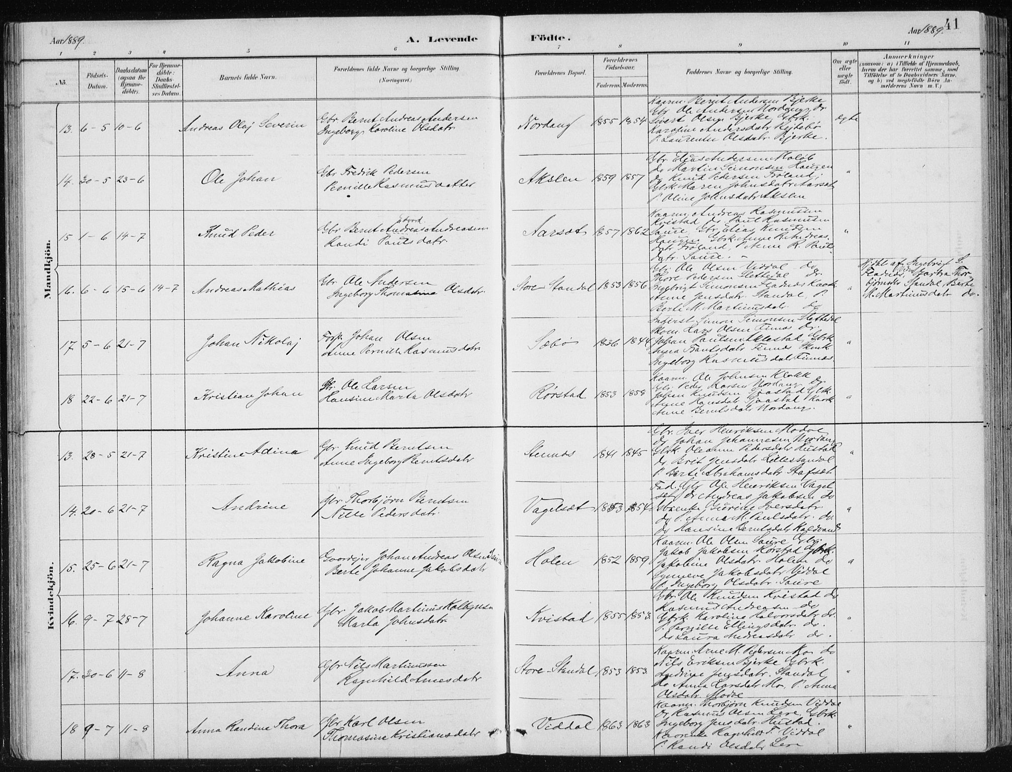 Ministerialprotokoller, klokkerbøker og fødselsregistre - Møre og Romsdal, AV/SAT-A-1454/515/L0215: Parish register (copy) no. 515C02, 1884-1906, p. 41