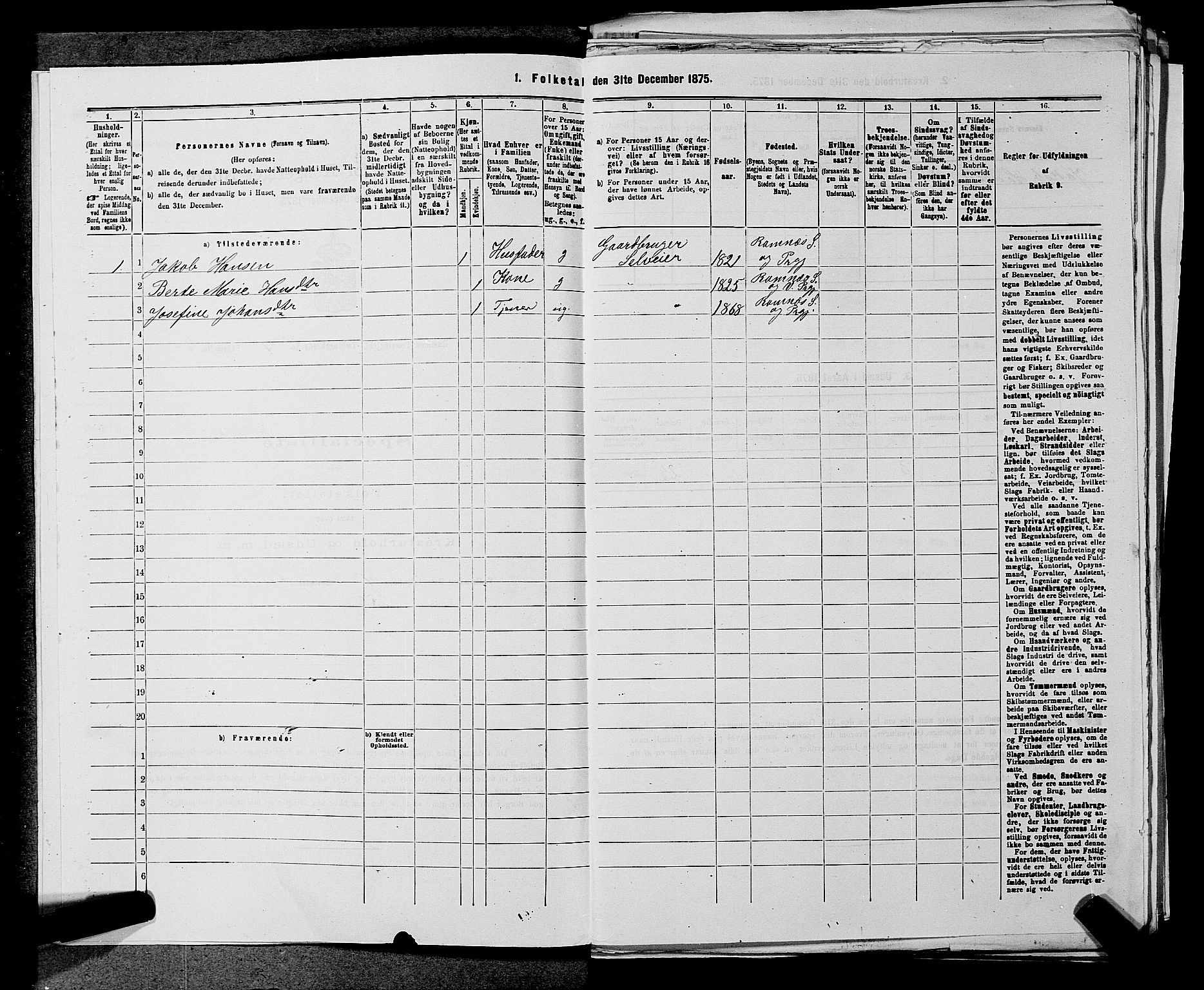 SAKO, 1875 census for 0718P Ramnes, 1875, p. 596