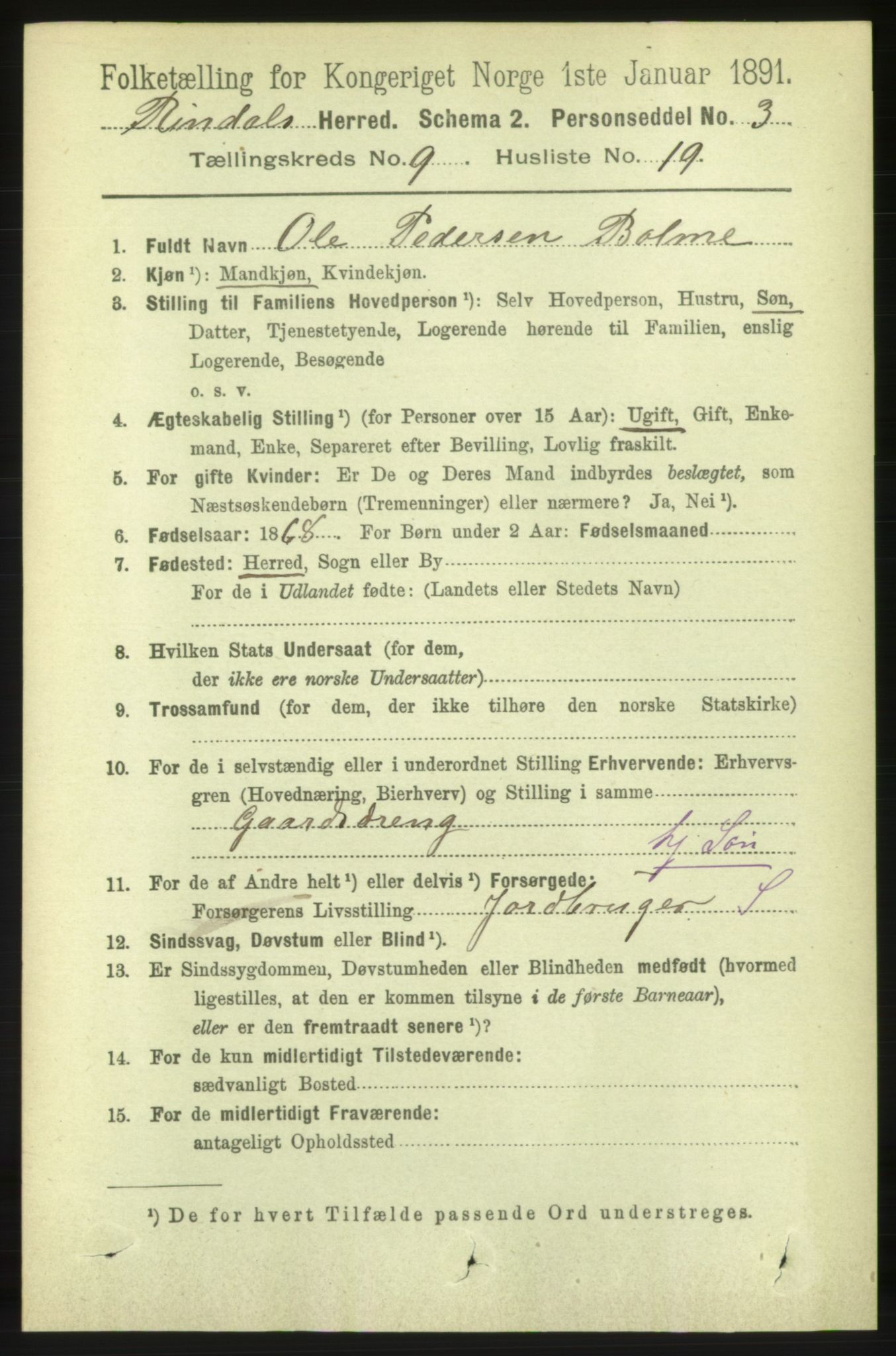 RA, 1891 census for 1567 Rindal, 1891, p. 2991