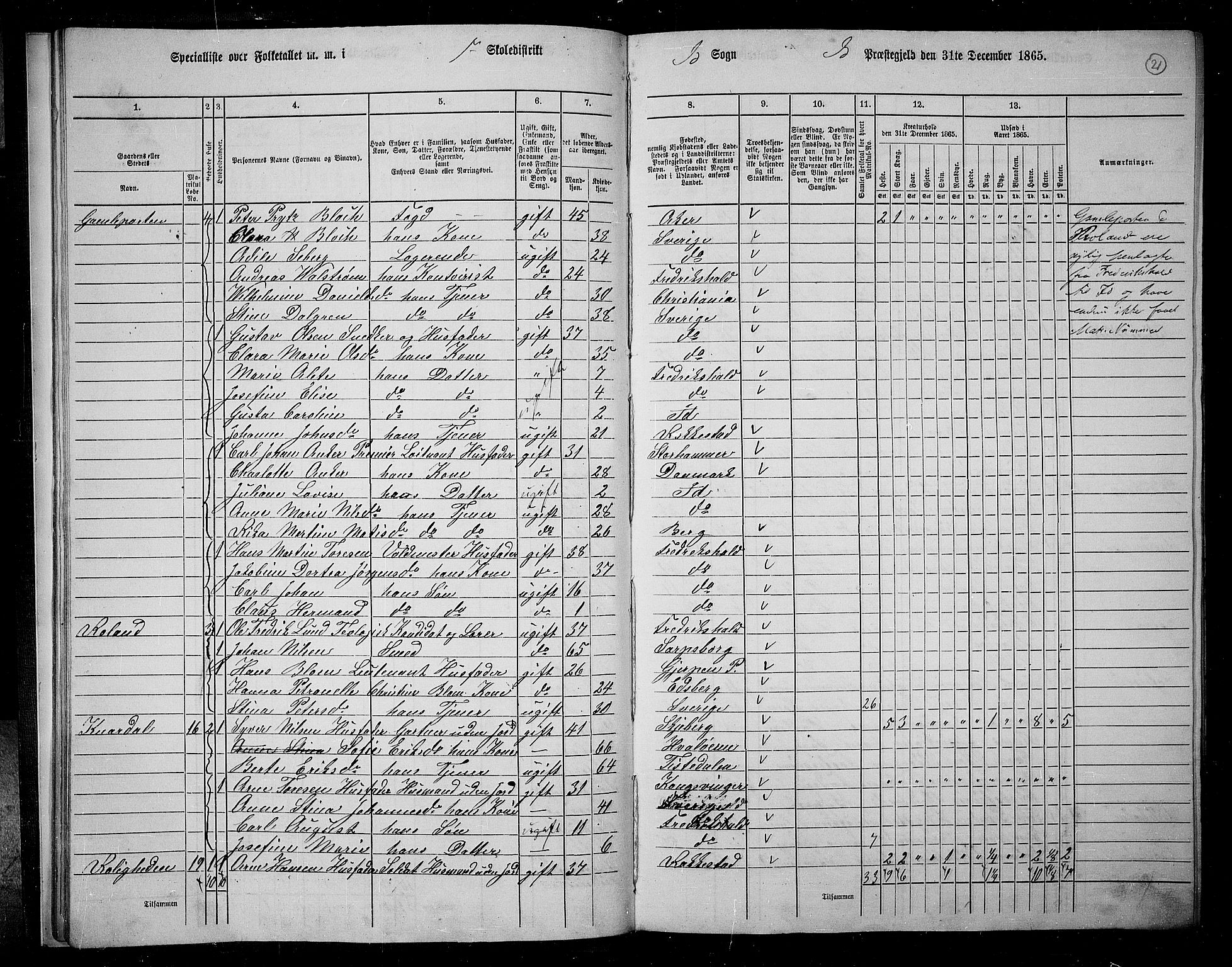 RA, 1865 census for Idd, 1865, p. 19