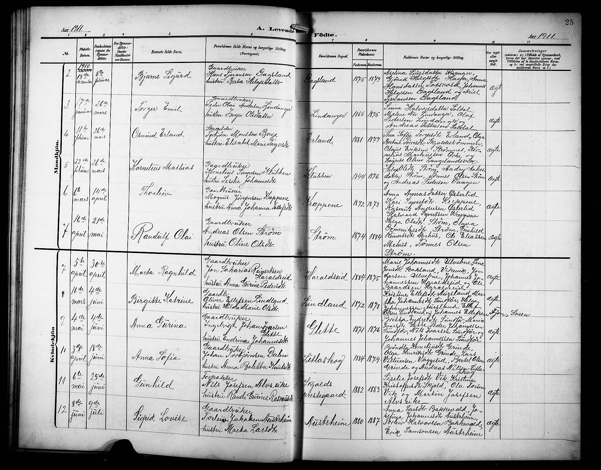 Skjold sokneprestkontor, AV/SAST-A-101847/H/Ha/Hab/L0008: Parish register (copy) no. B 8, 1906-1920, p. 25