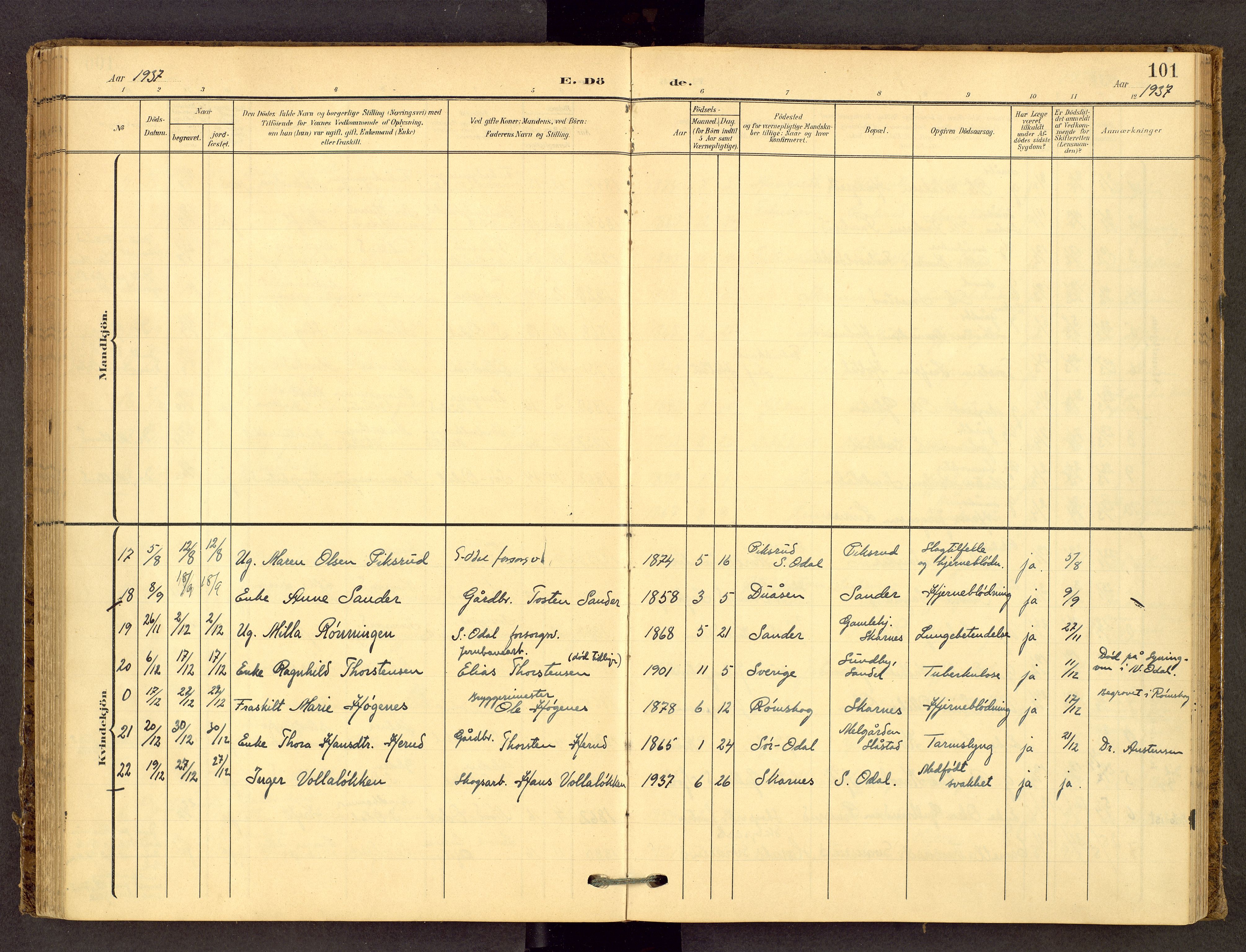 Sør-Odal prestekontor, SAH/PREST-030/H/Ha/Haa/L0010: Parish register (official) no. 10, 1907-1968, p. 101