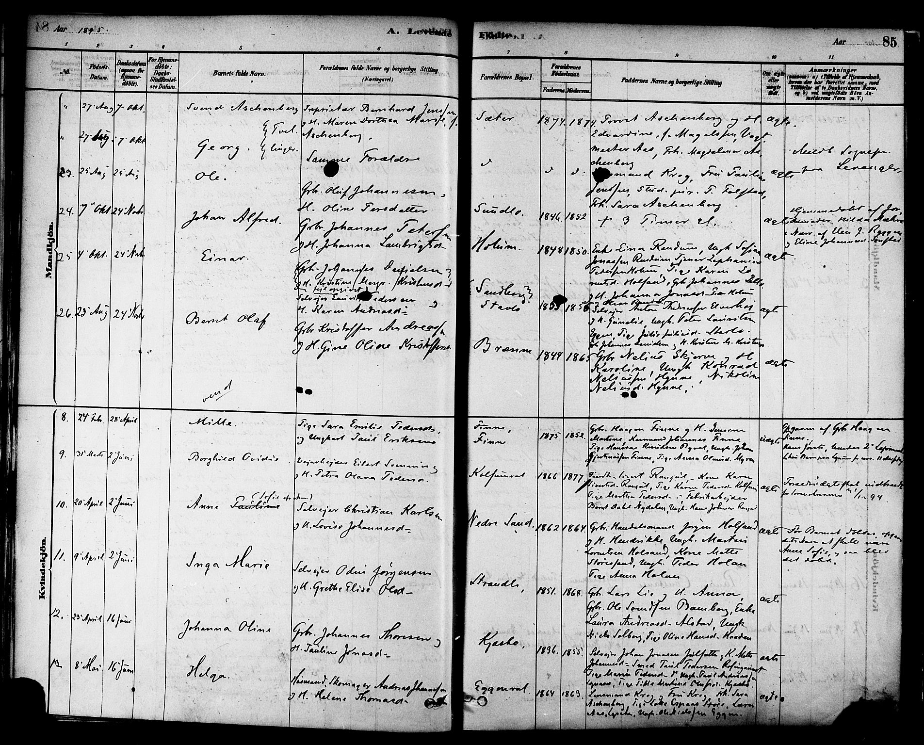 Ministerialprotokoller, klokkerbøker og fødselsregistre - Nord-Trøndelag, SAT/A-1458/717/L0159: Parish register (official) no. 717A09, 1878-1898, p. 85