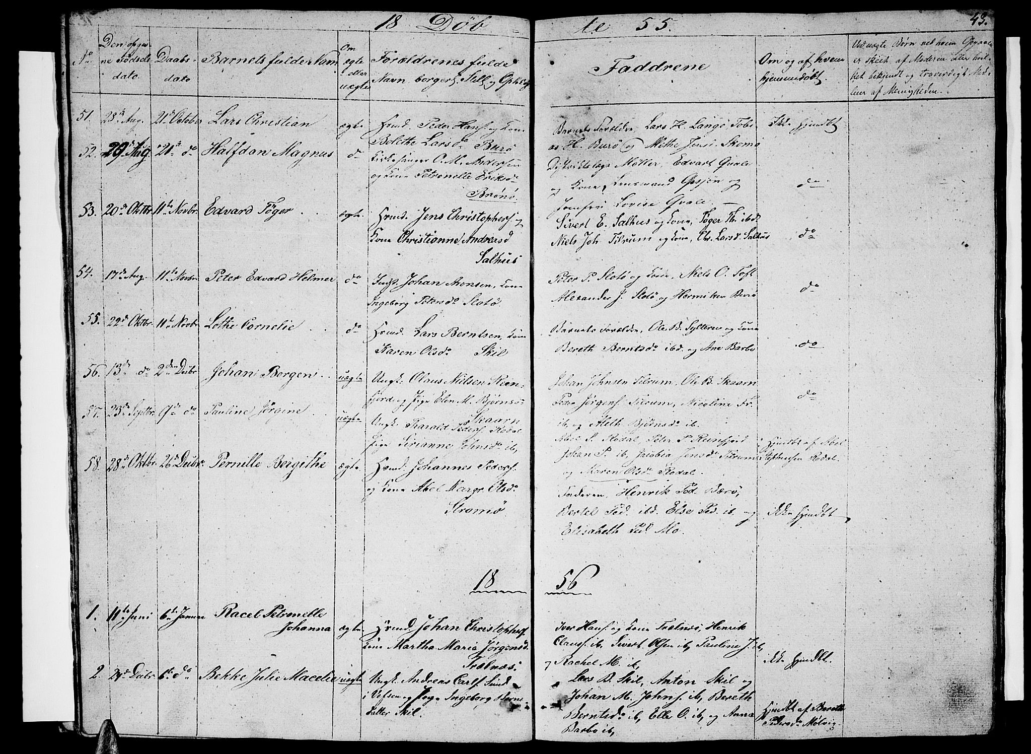 Ministerialprotokoller, klokkerbøker og fødselsregistre - Nordland, SAT/A-1459/813/L0211: Parish register (copy) no. 813C03, 1842-1863, p. 43