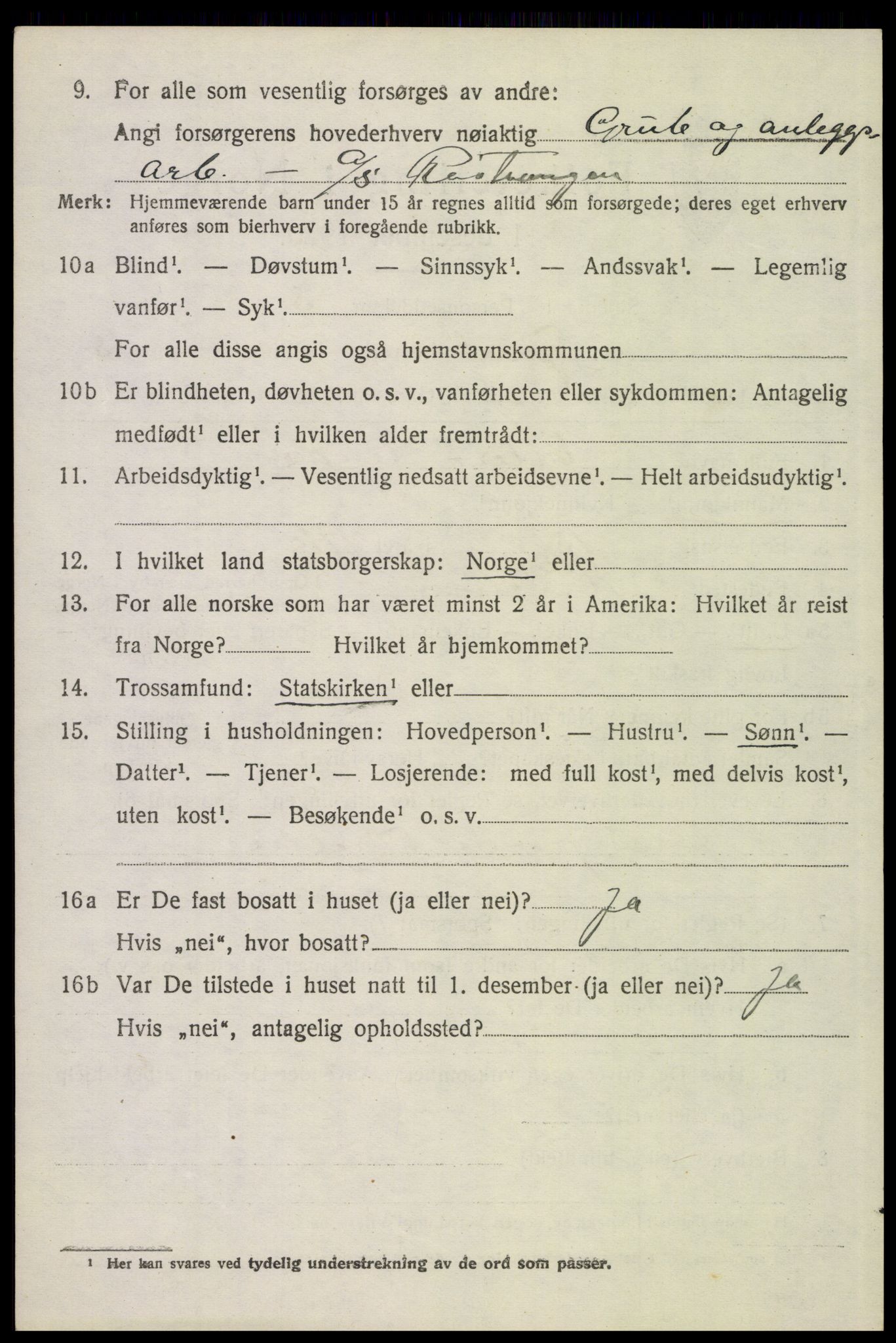 SAH, 1920 census for Tynset, 1920, p. 8503