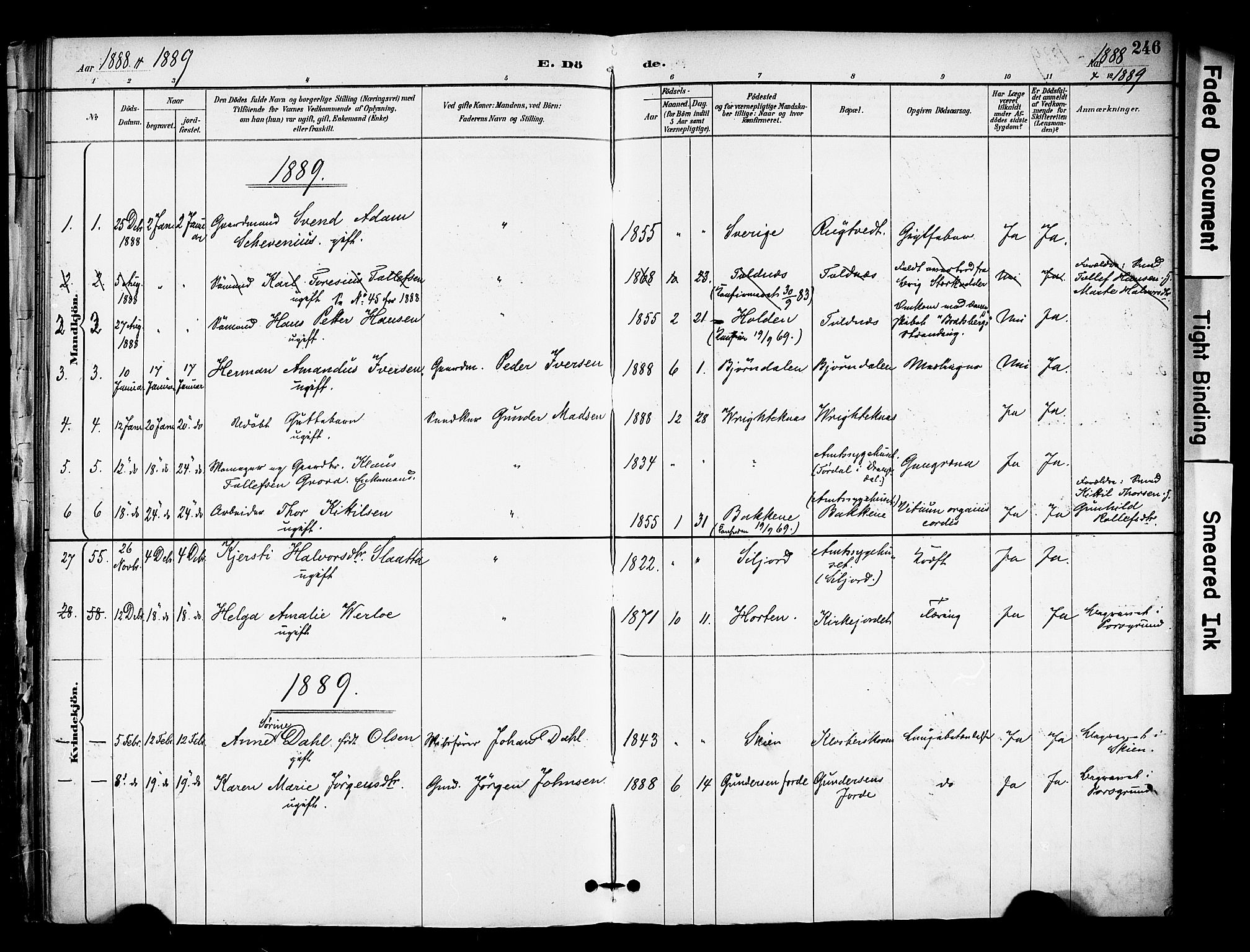 Solum kirkebøker, SAKO/A-306/F/Fa/L0010: Parish register (official) no. I 10, 1888-1898, p. 246