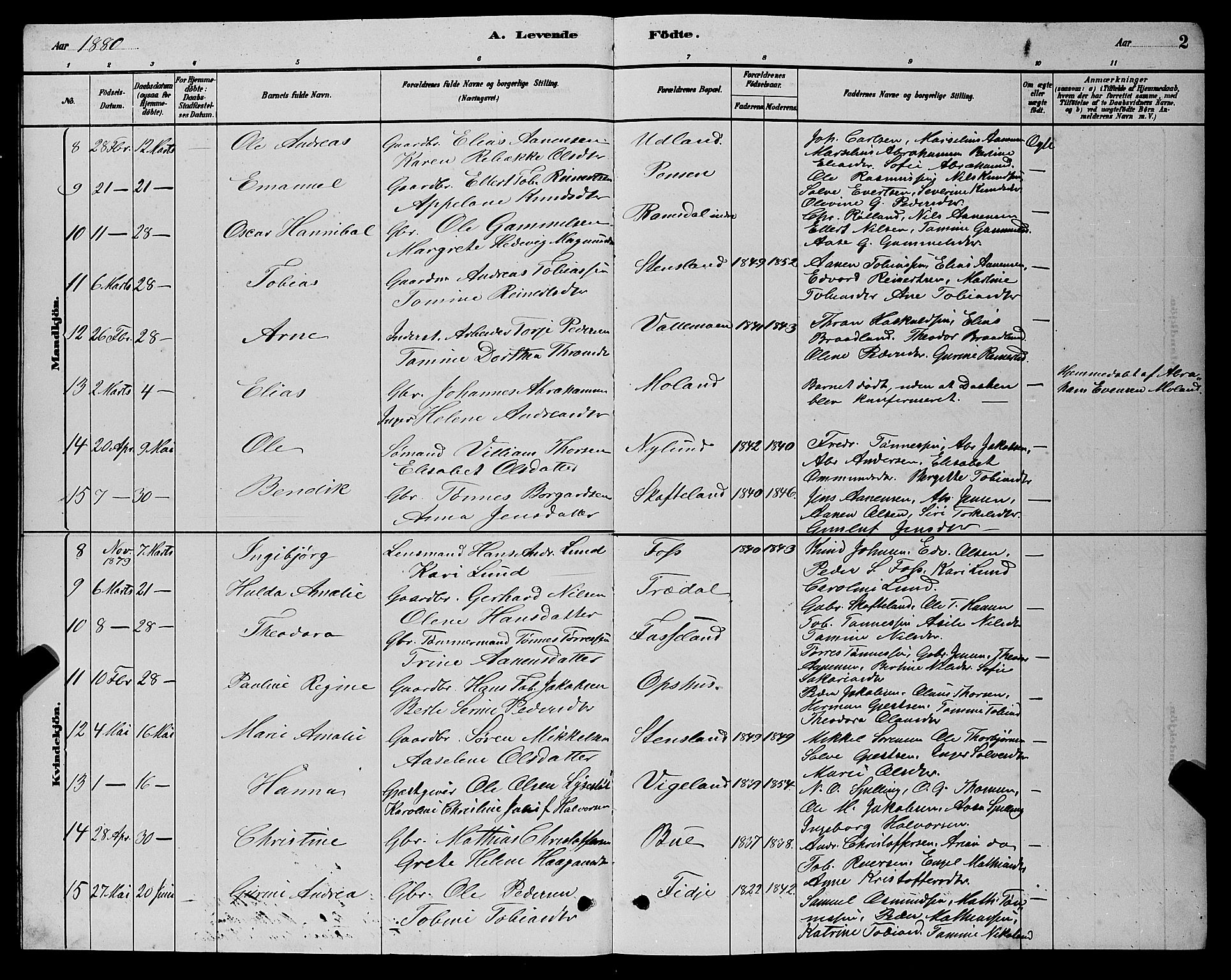 Sør-Audnedal sokneprestkontor, AV/SAK-1111-0039/F/Fb/Fbb/L0005: Parish register (copy) no. B 5, 1880-1892, p. 2