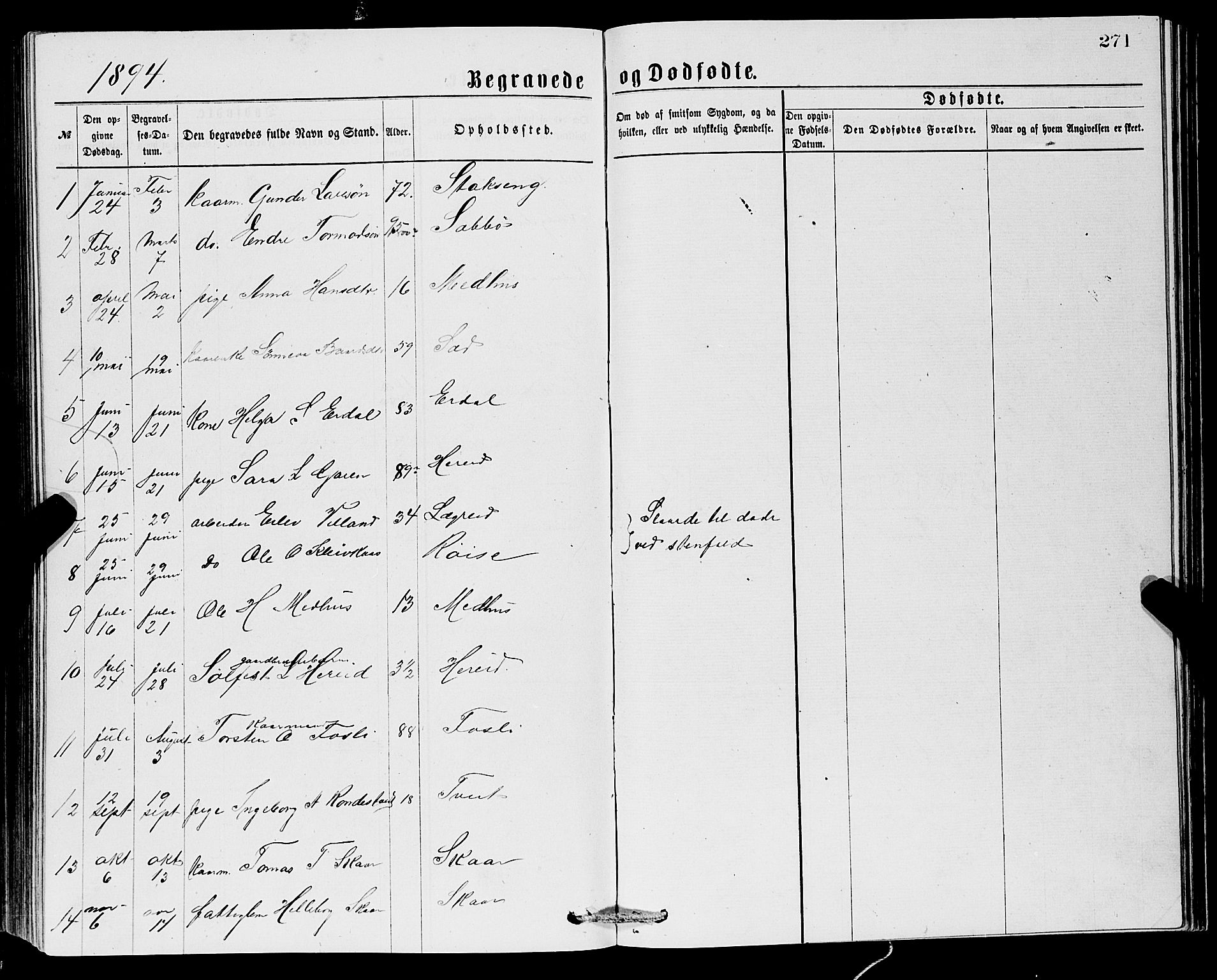 Ullensvang sokneprestembete, SAB/A-78701/H/Hab: Parish register (copy) no. C 2, 1871-1899, p. 271