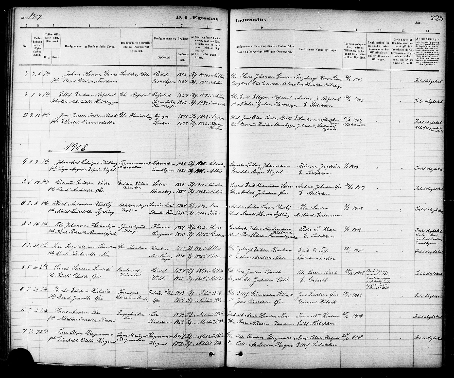 Ministerialprotokoller, klokkerbøker og fødselsregistre - Sør-Trøndelag, SAT/A-1456/691/L1094: Parish register (copy) no. 691C05, 1879-1911, p. 225