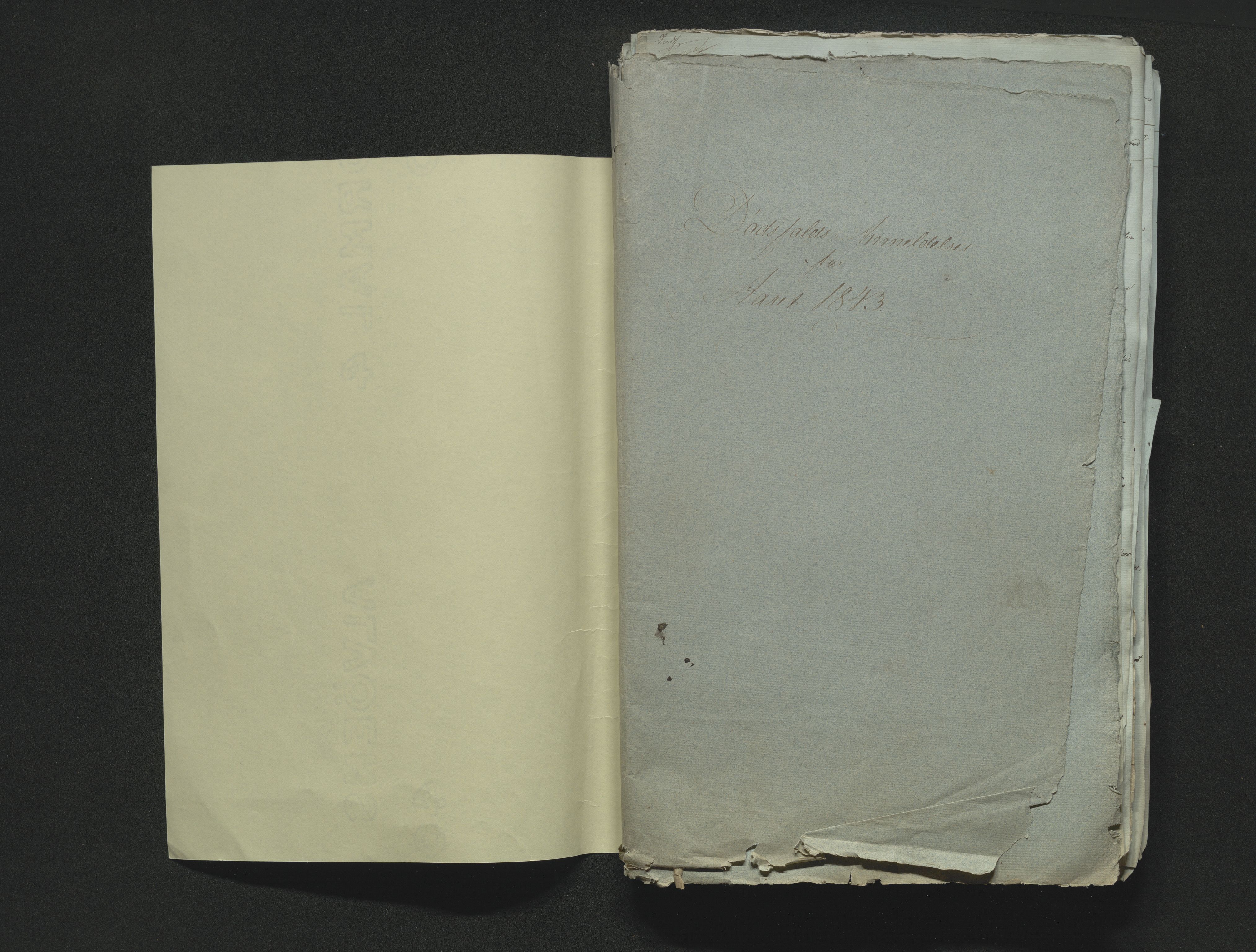 Eiker, Modum og Sigdal sorenskriveri, AV/SAKO-A-123/H/Ha/Hab/L0006: Dødsfallsmeldinger, 1841-1845