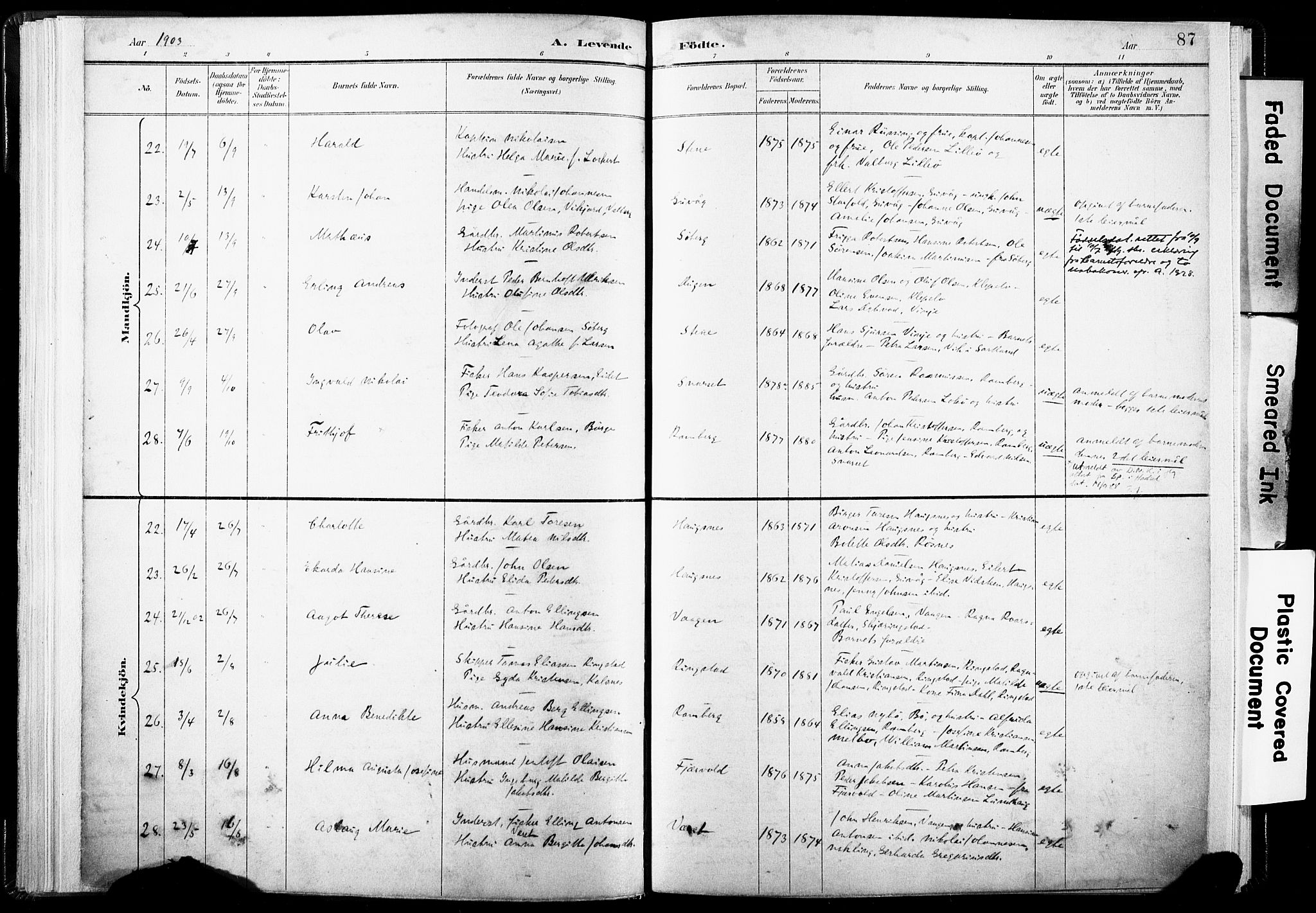 Ministerialprotokoller, klokkerbøker og fødselsregistre - Nordland, SAT/A-1459/891/L1304: Parish register (official) no. 891A09, 1895-1921, p. 87