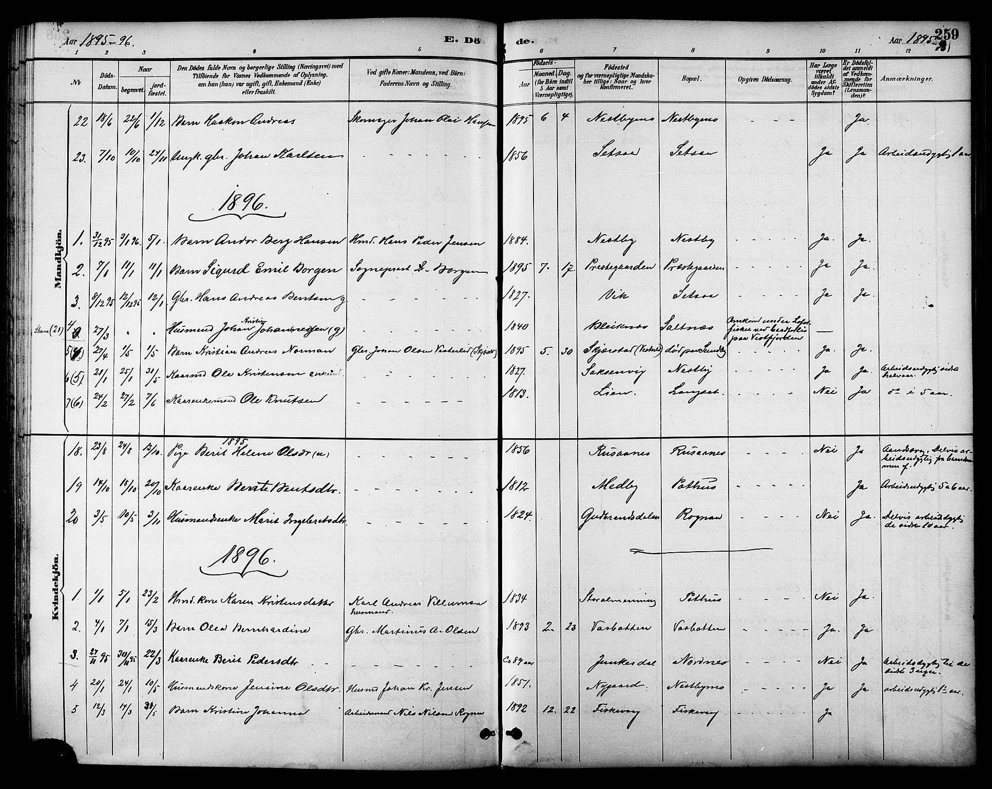 Ministerialprotokoller, klokkerbøker og fødselsregistre - Nordland, AV/SAT-A-1459/847/L0669: Parish register (official) no. 847A09, 1887-1901, p. 259