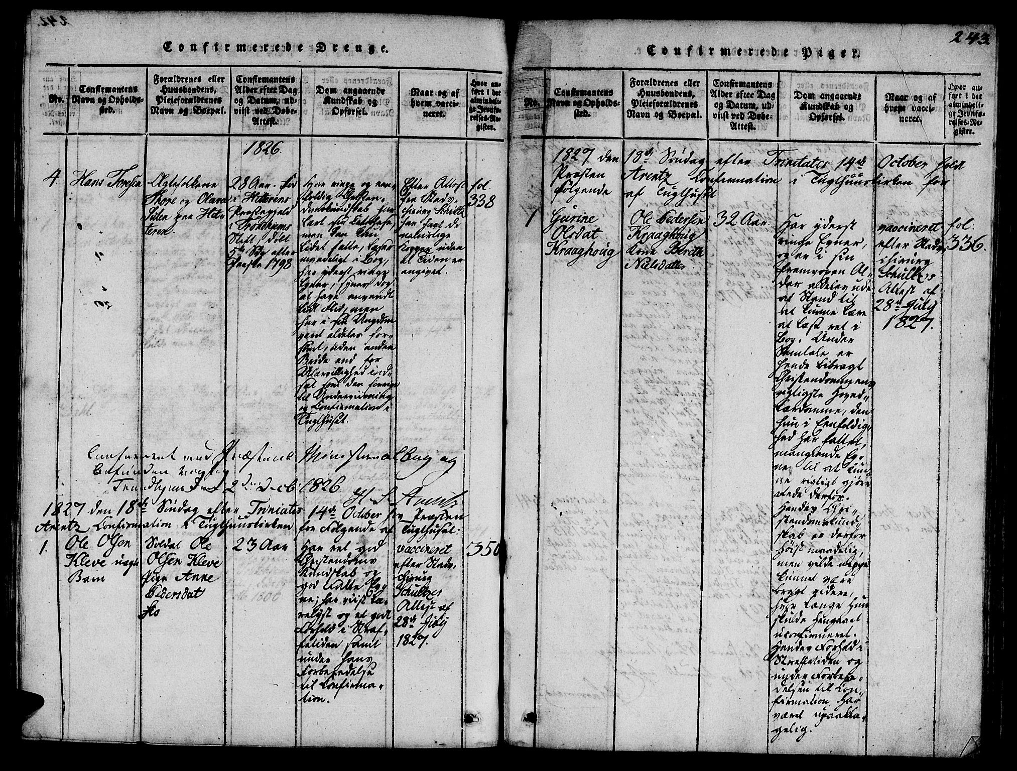 Ministerialprotokoller, klokkerbøker og fødselsregistre - Sør-Trøndelag, AV/SAT-A-1456/623/L0478: Parish register (copy) no. 623C01, 1815-1873, p. 243