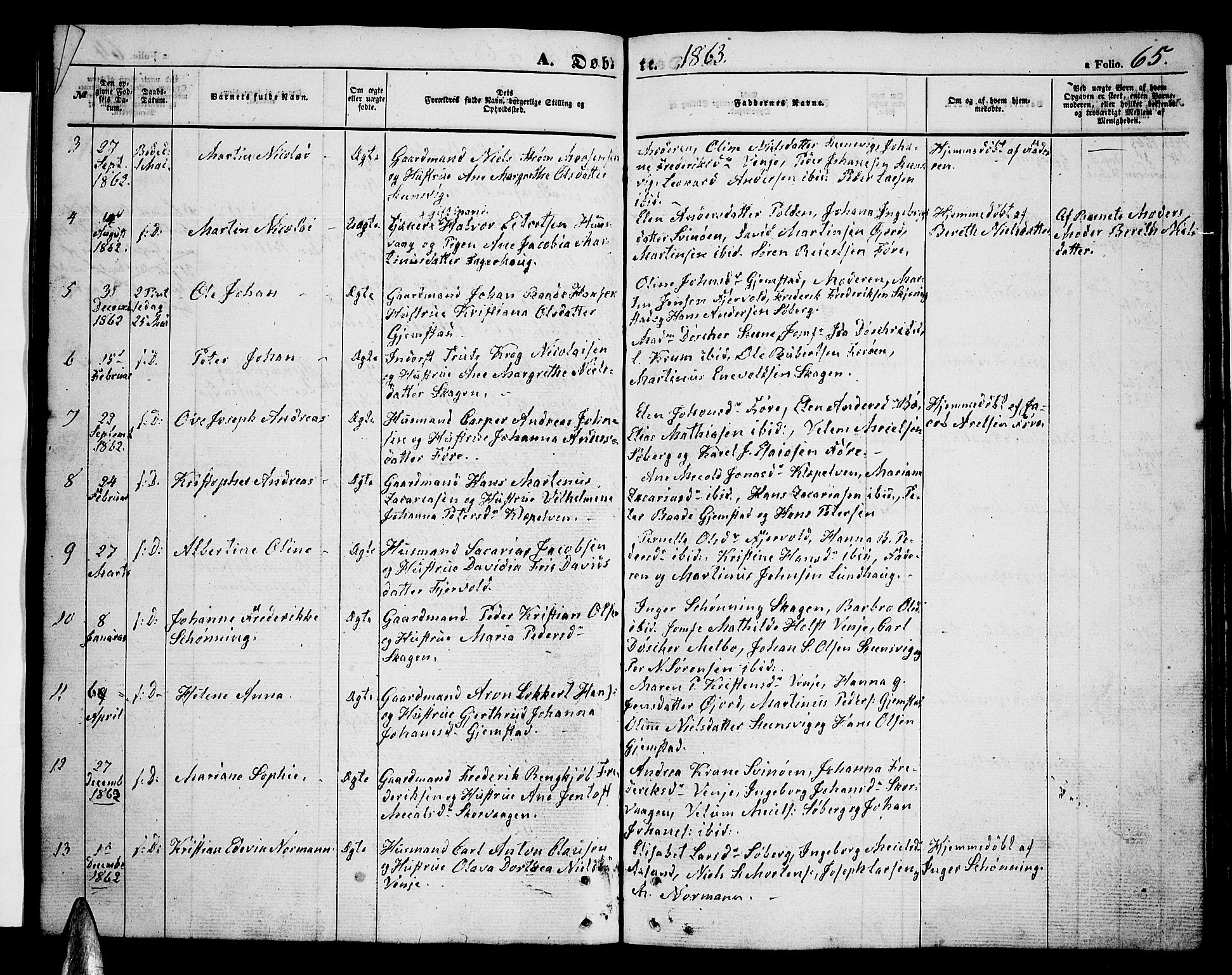 Ministerialprotokoller, klokkerbøker og fødselsregistre - Nordland, SAT/A-1459/891/L1313: Parish register (copy) no. 891C02, 1856-1870, p. 65