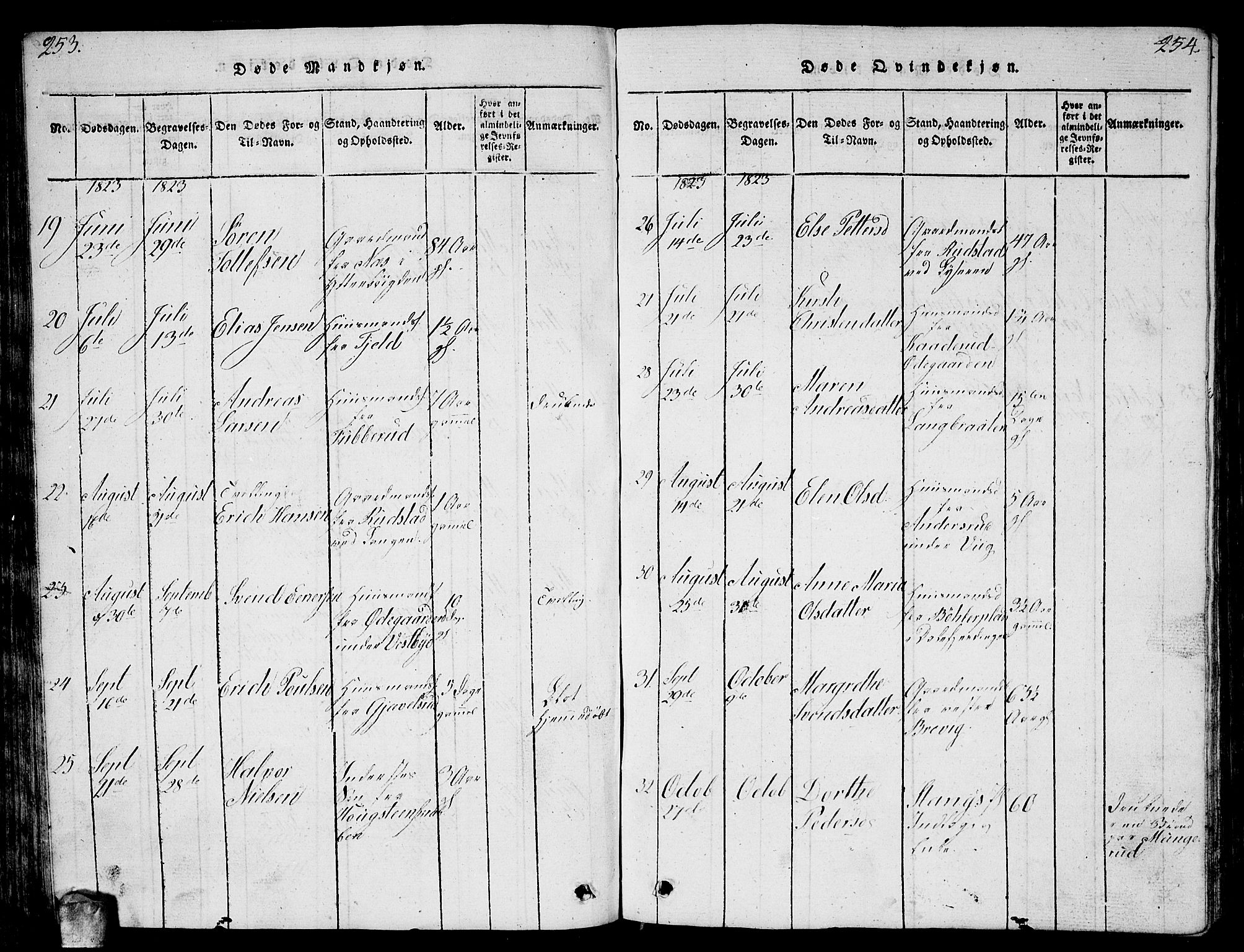 Enebakk prestekontor Kirkebøker, AV/SAO-A-10171c/G/Ga/L0001: Parish register (copy) no. I 1, 1815-1833, p. 253-254