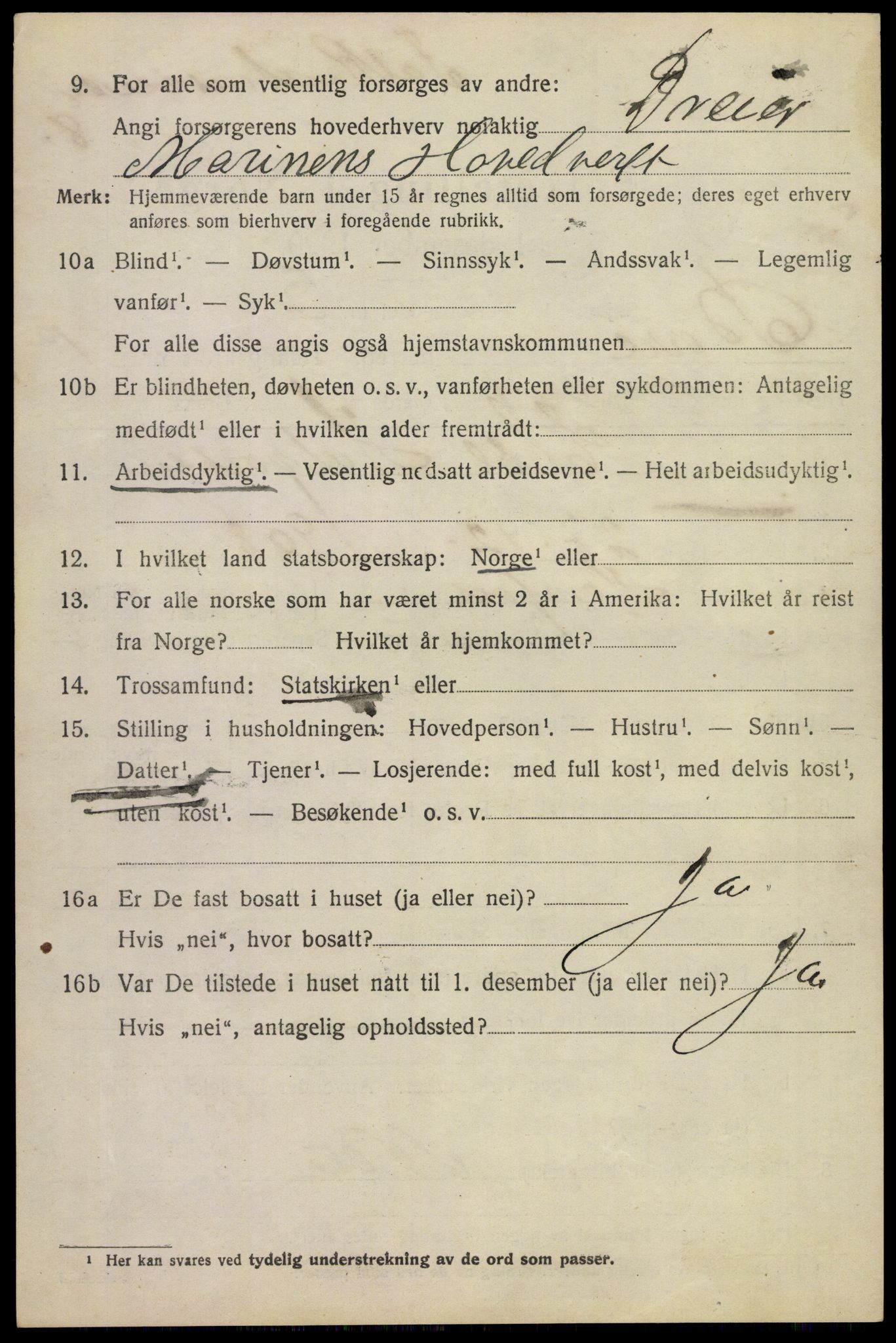 SAKO, 1920 census for Borre, 1920, p. 1387