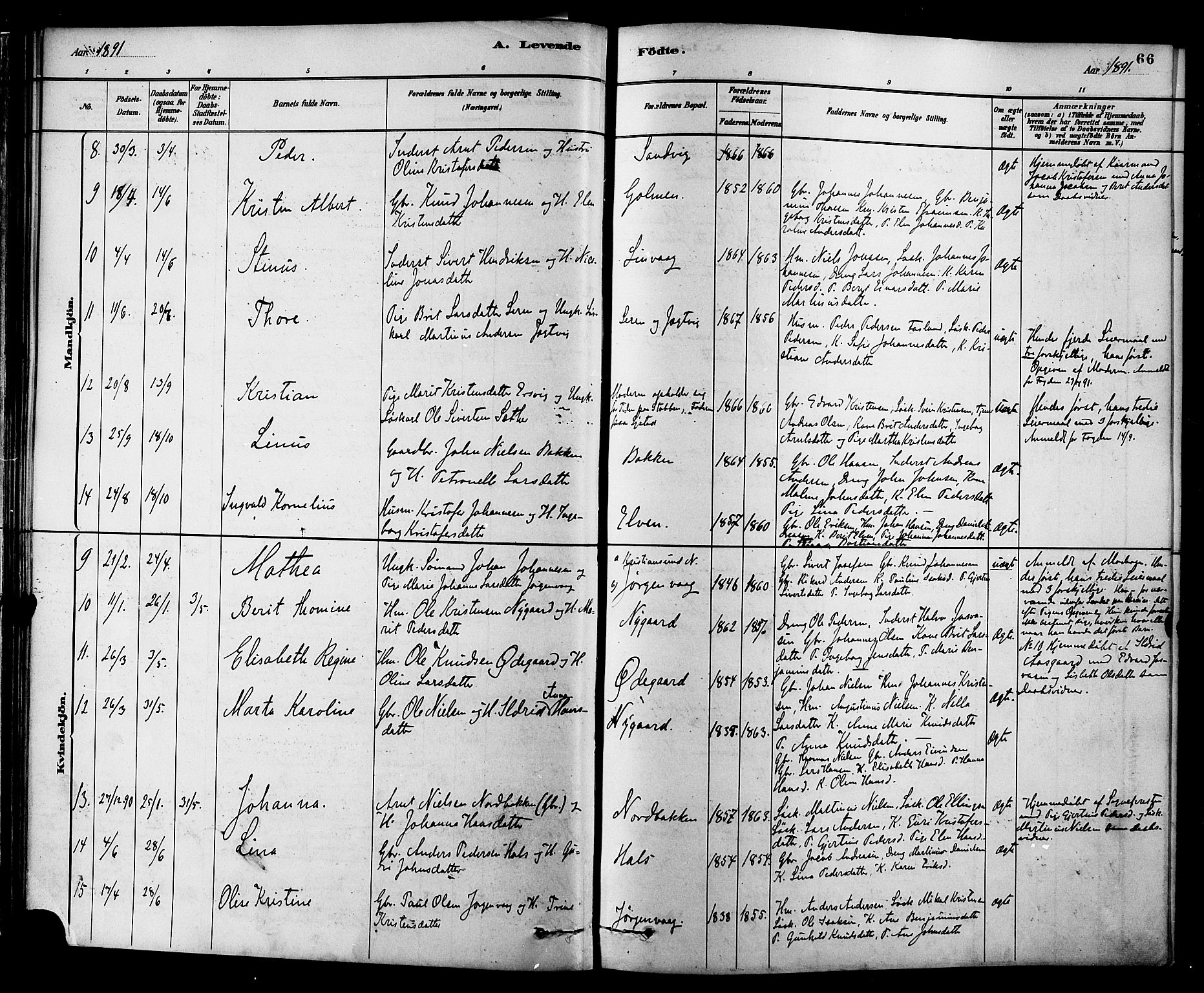 Ministerialprotokoller, klokkerbøker og fødselsregistre - Møre og Romsdal, SAT/A-1454/577/L0896: Parish register (official) no. 577A03, 1880-1898, p. 66
